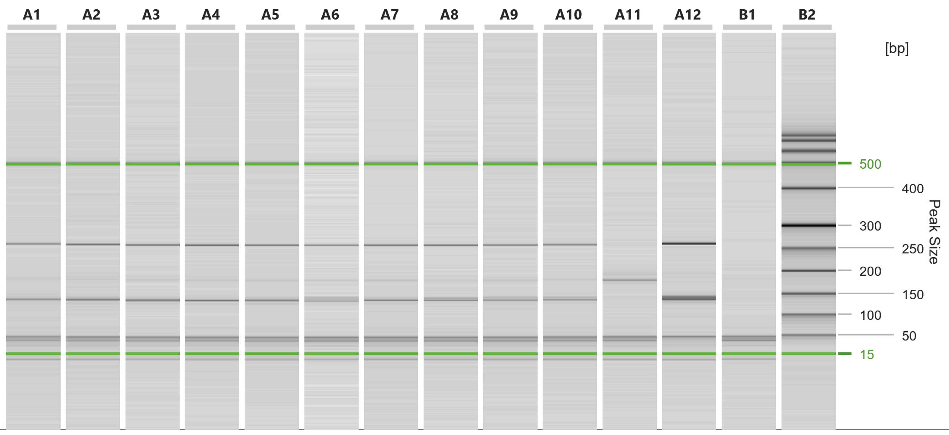 Microorganisms 11 02339 g002 Microorganisms 11 02339 g002