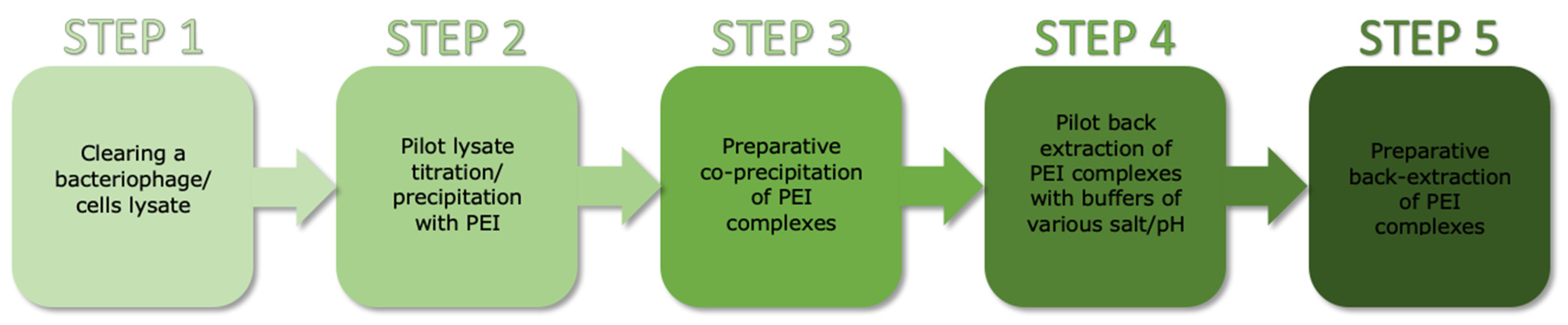 Microorganisms 11 02340 g001