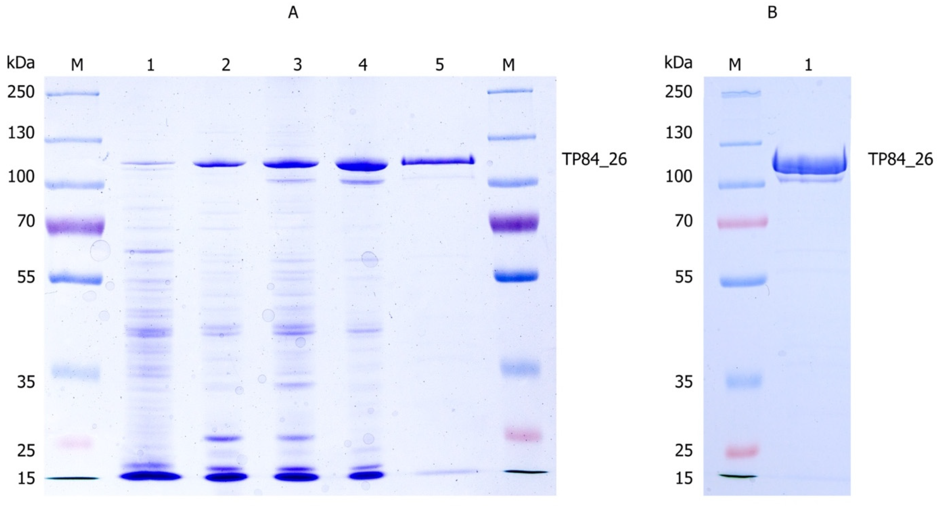 Microorganisms 11 02340 g003