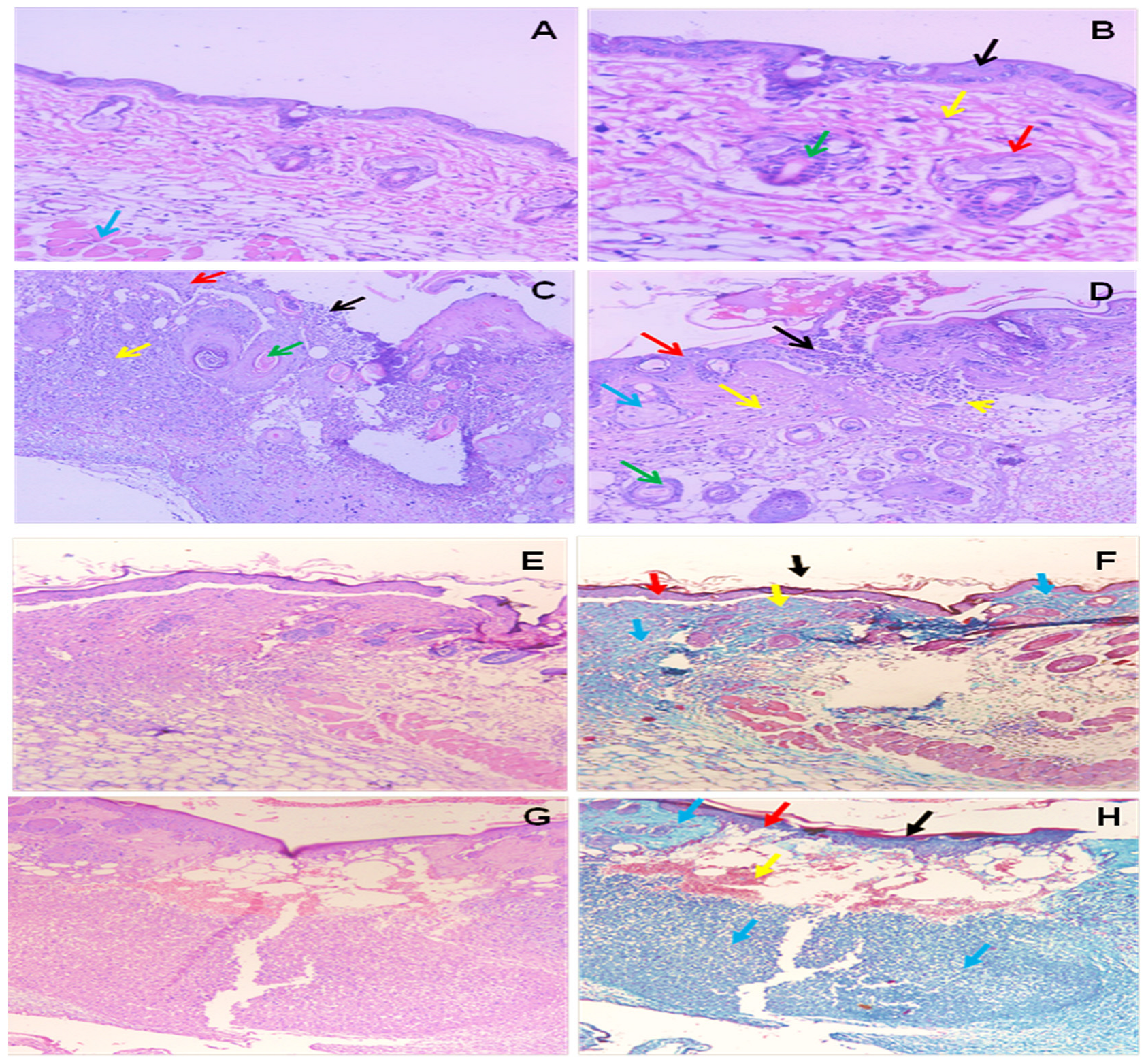 Microorganisms 11 02341 g009