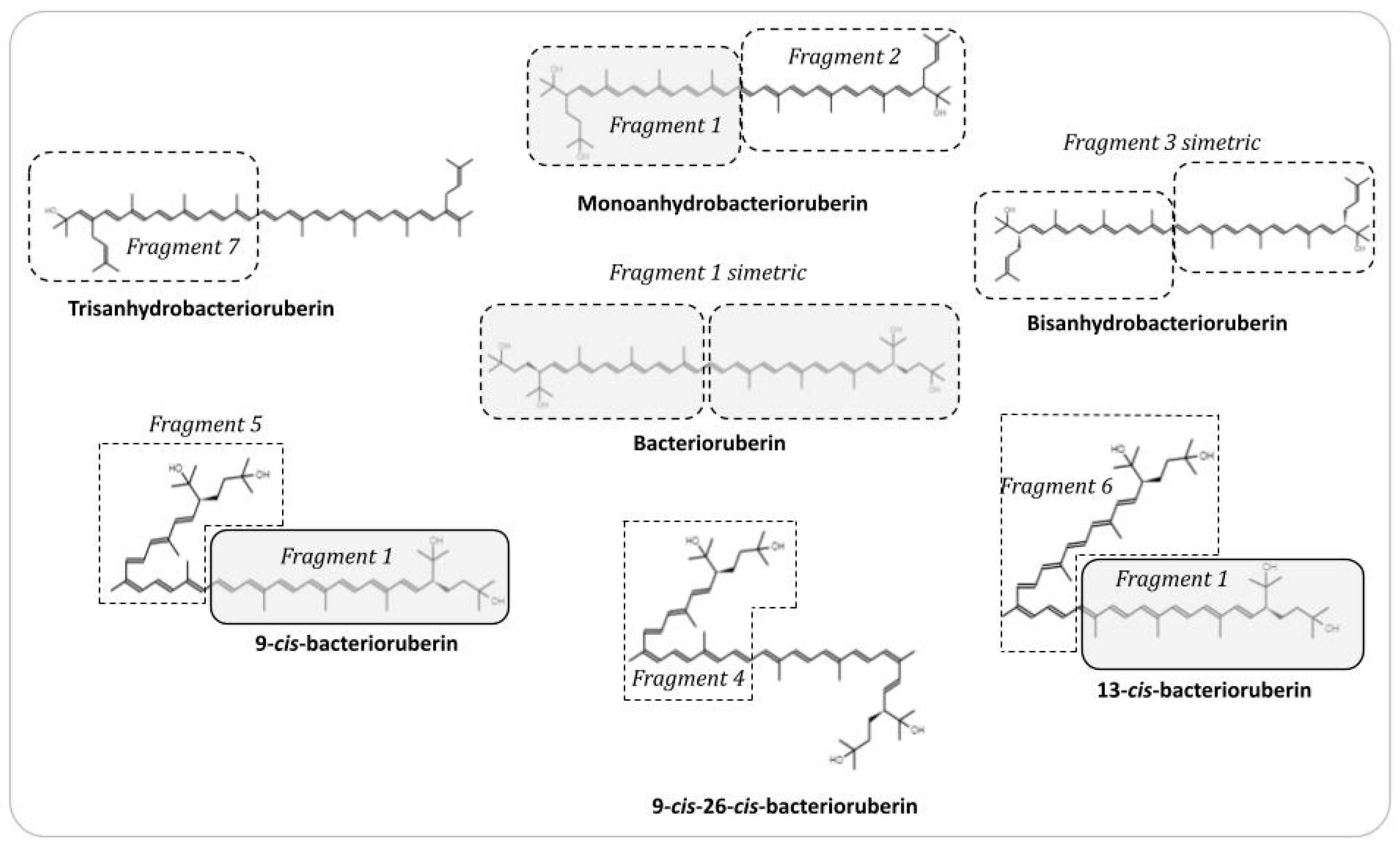 Microorganisms 11 02344 g001