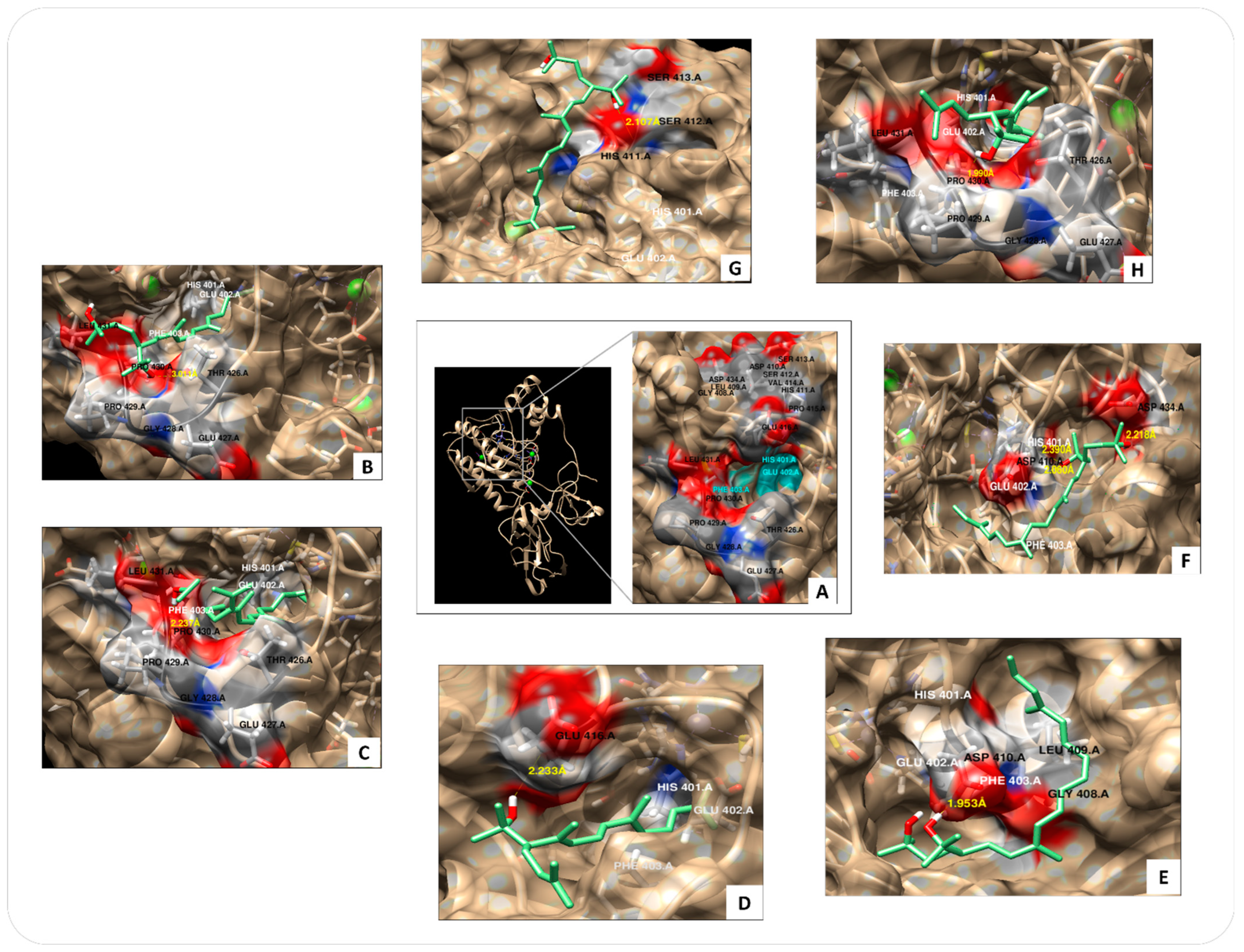 Microorganisms 11 02344 g004