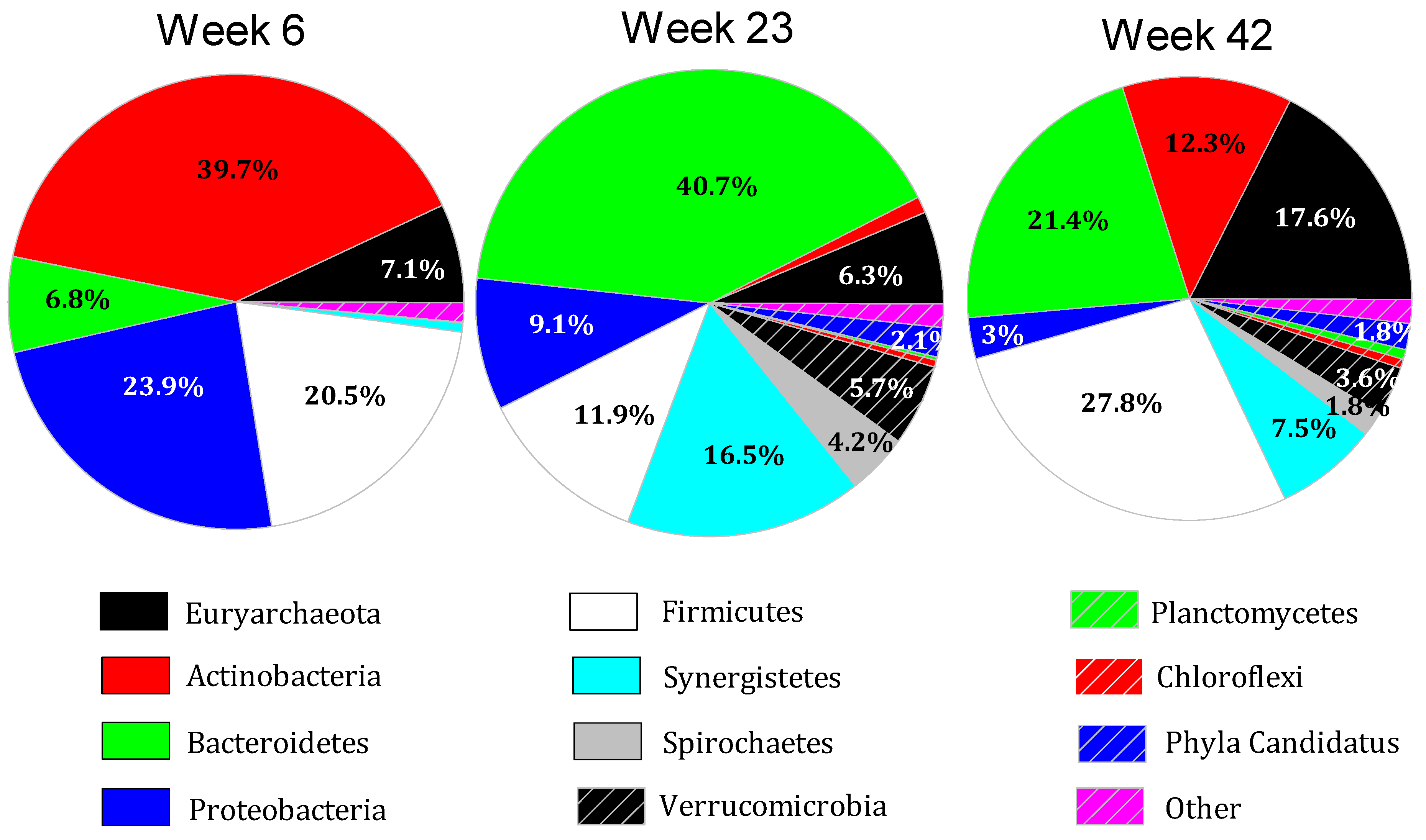 Microorganisms 11 02349 g001