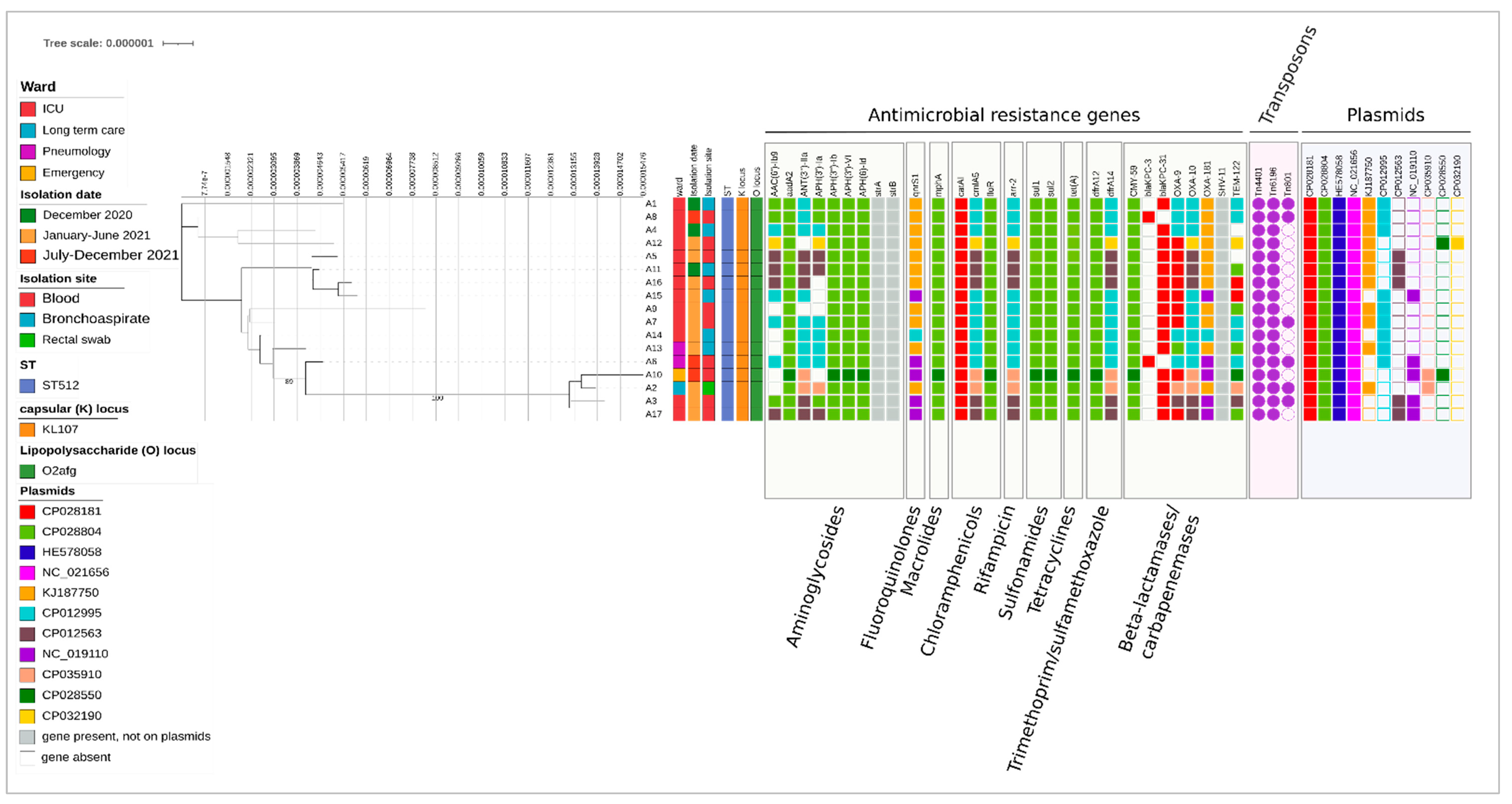 Microorganisms 11 02354 g001