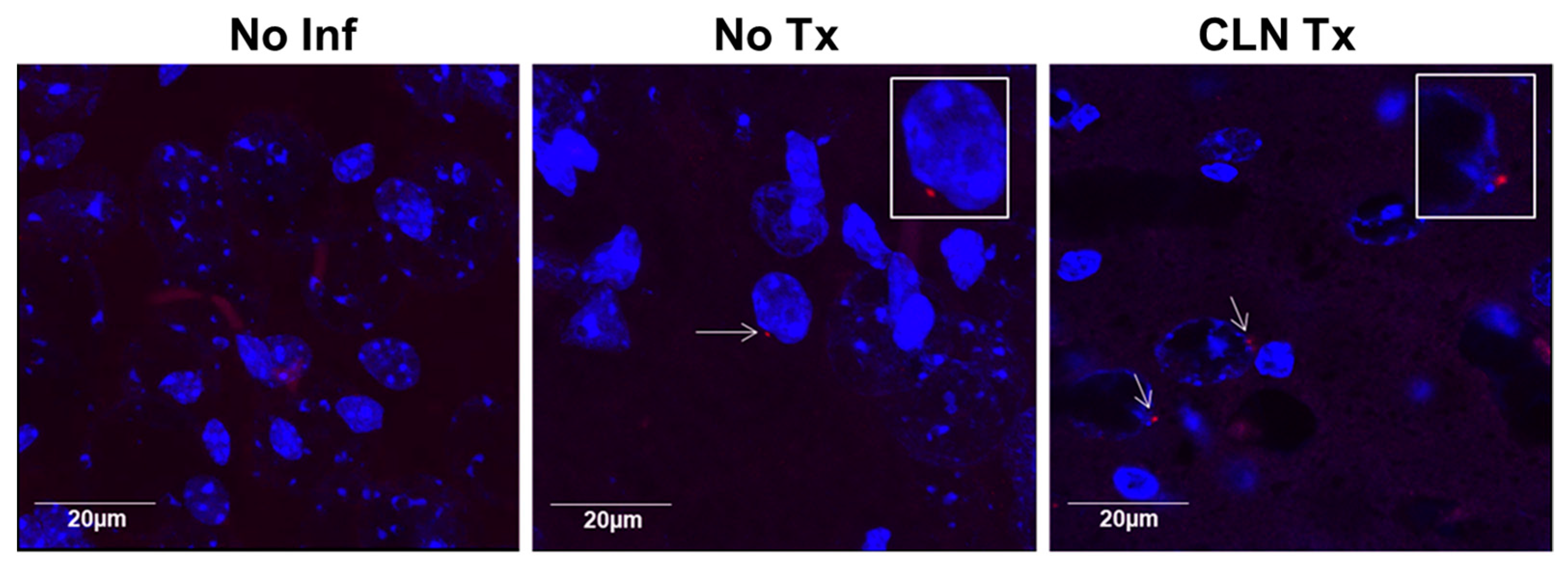 Microorganisms 11 02356 g003 Microorganisms 11 02356 g003