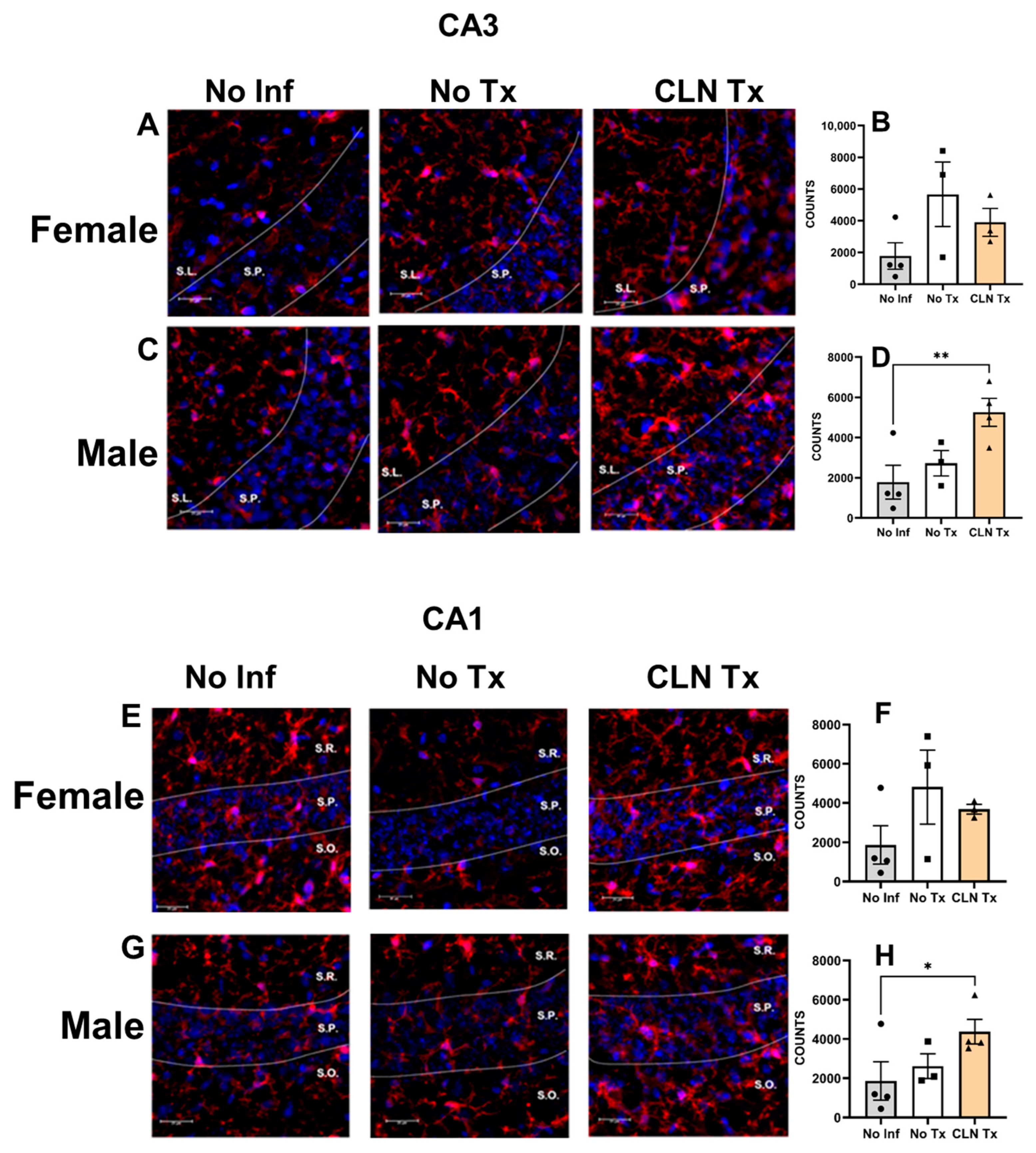 Microorganisms 11 02356 g006a Microorganisms 11 02356 g006a
