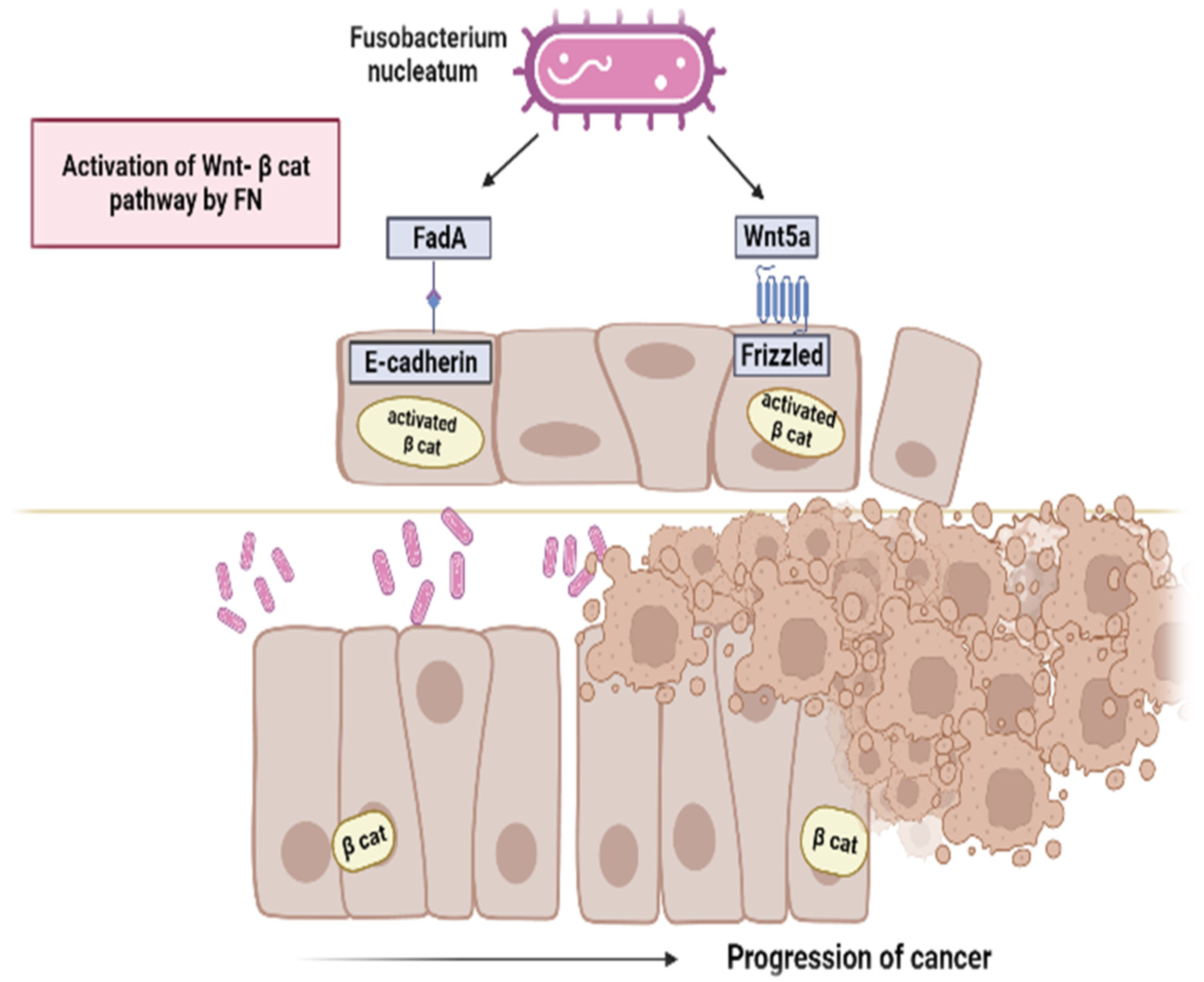 Microorganisms 11 02358 g001