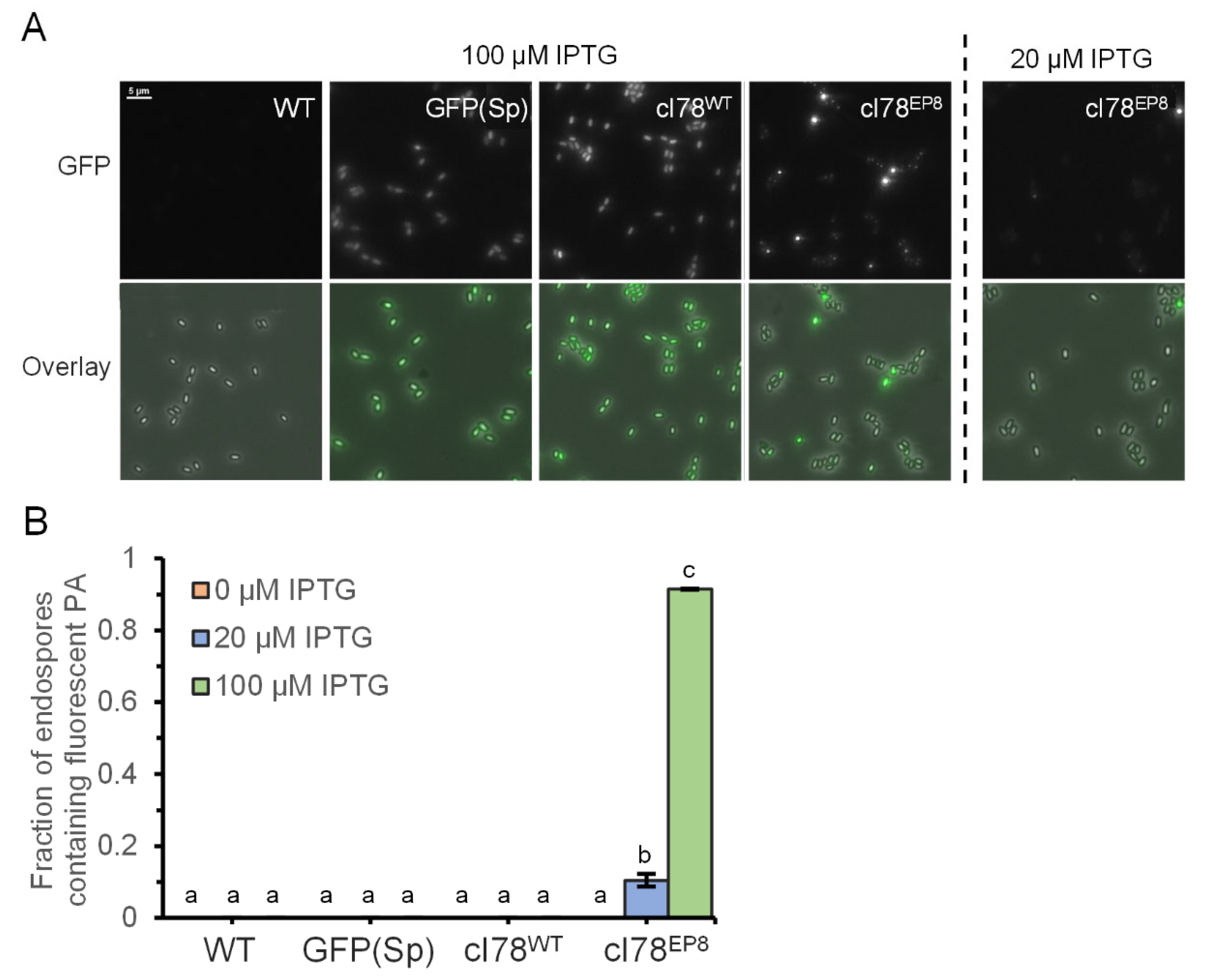 Microorganisms 11 02365 g004
