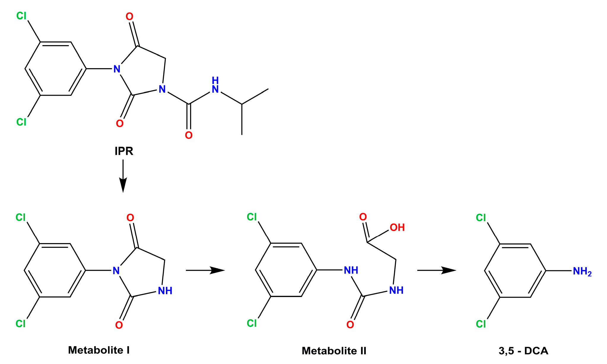 Microorganisms 11 02367 g001