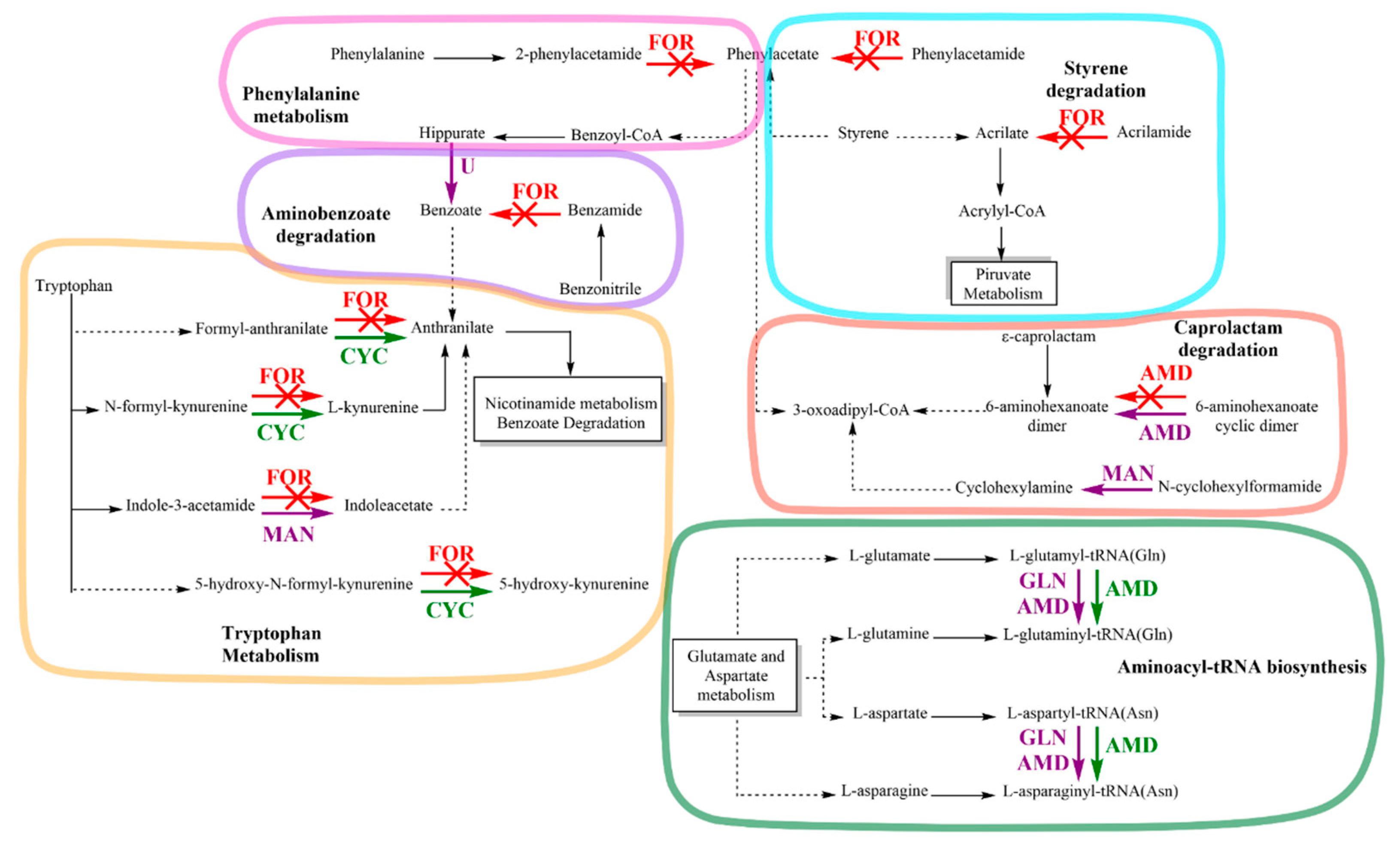 Microorganisms 11 02367 g006