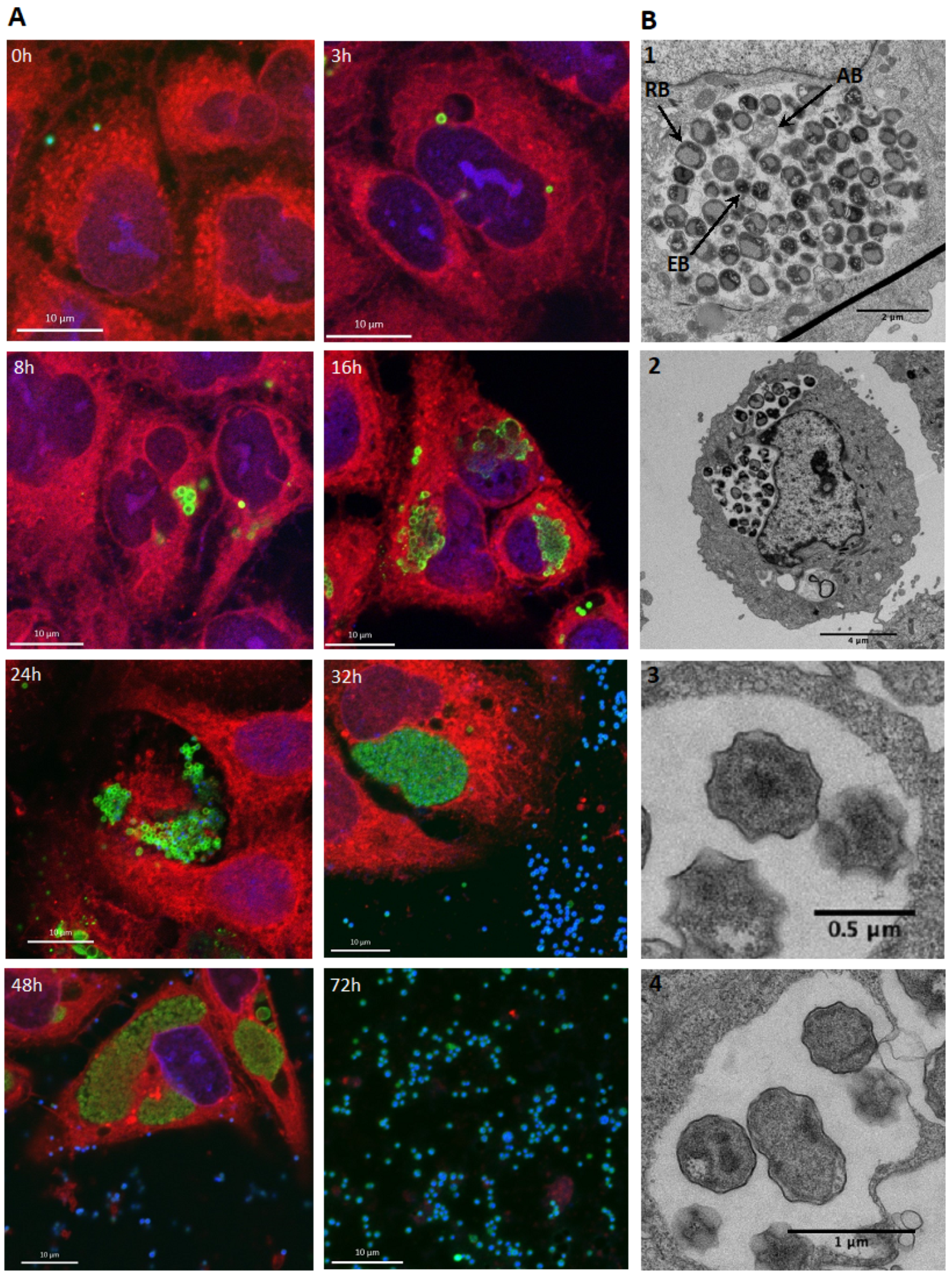 Microorganisms 11 02368 g002