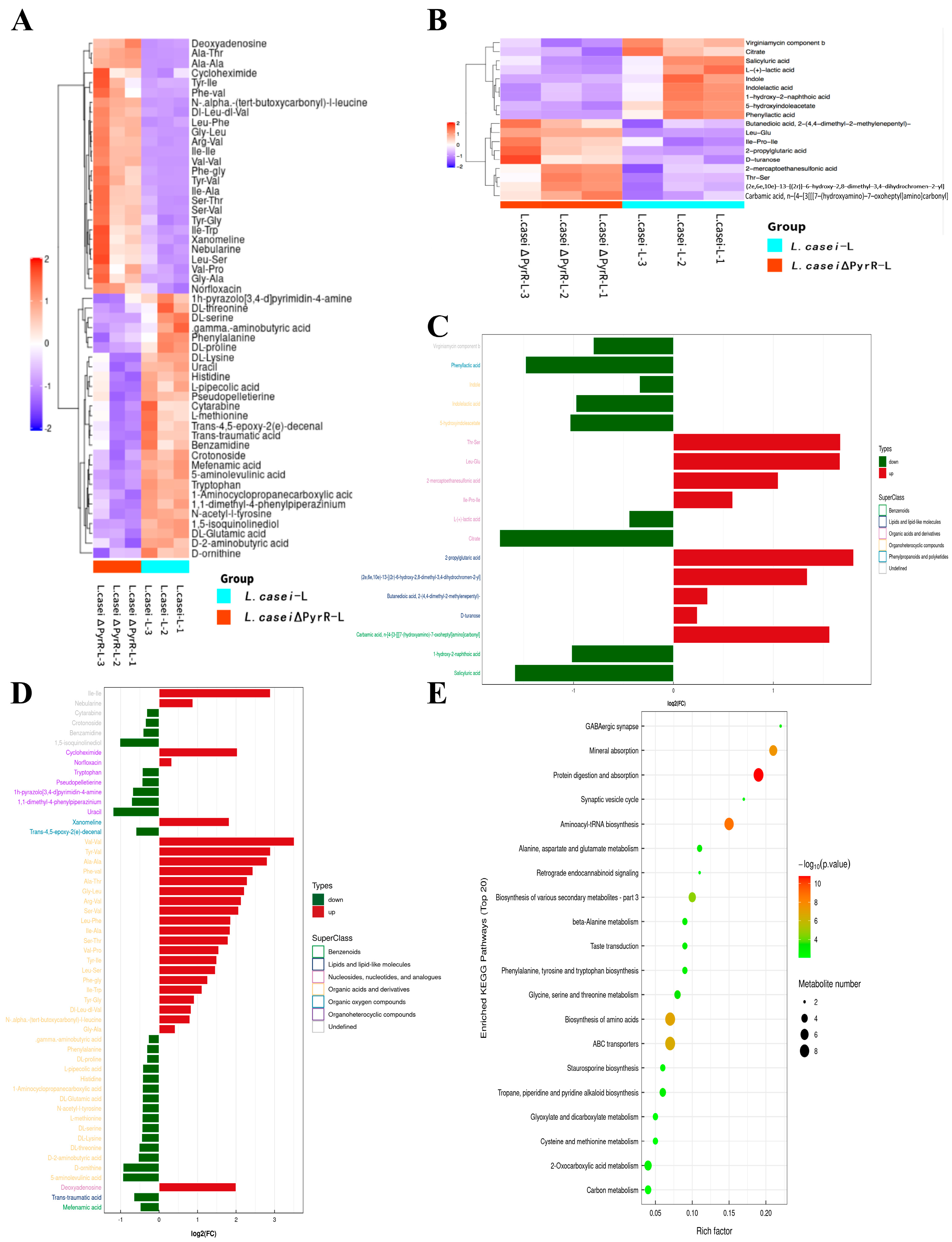 Microorganisms 11 02371 g004