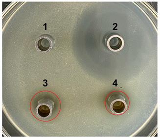 Microorganisms 11 02371 i003