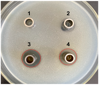 Microorganisms 11 02371 i005