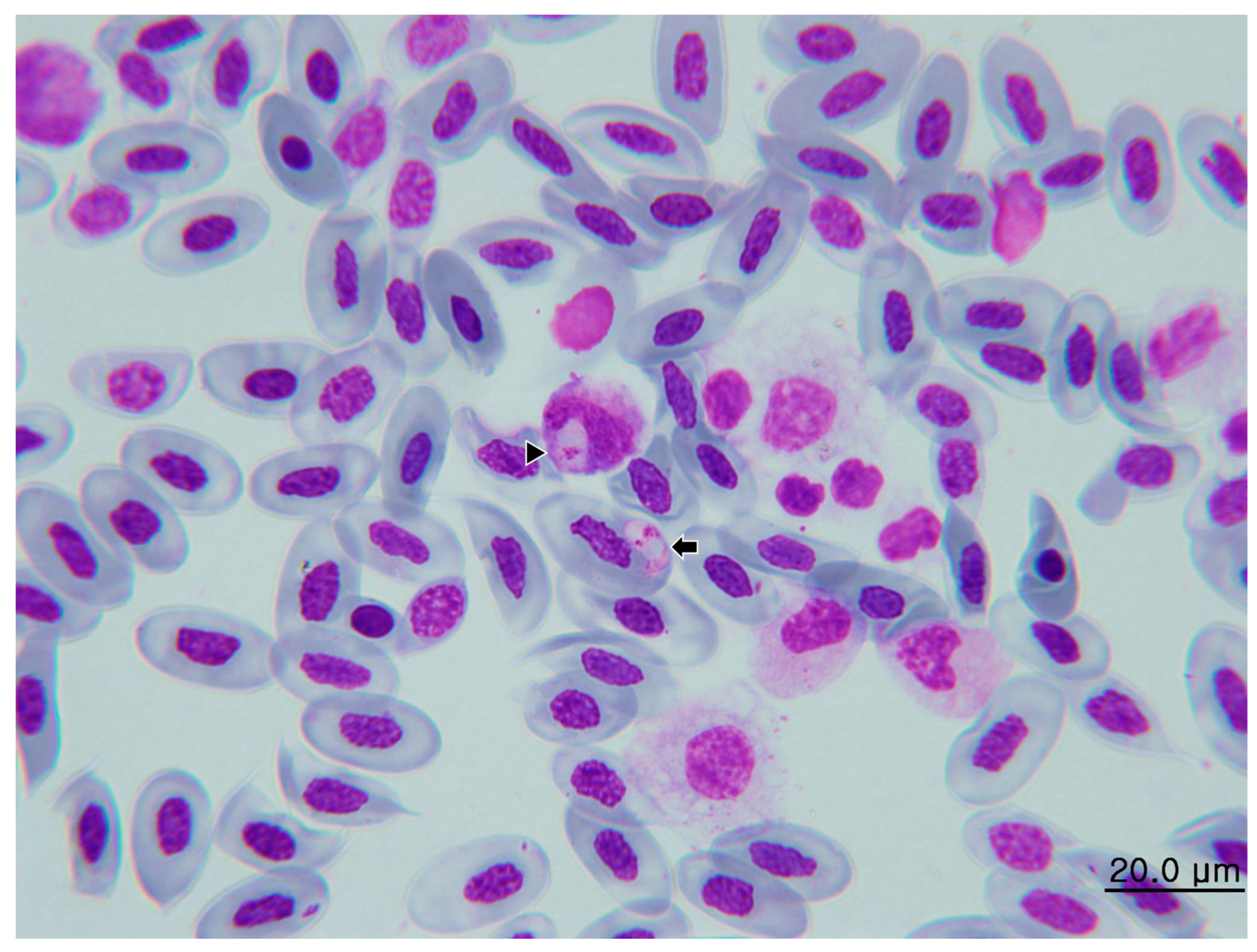 Microorganisms 11 02374 g005 Microorganisms 11 02374 g005