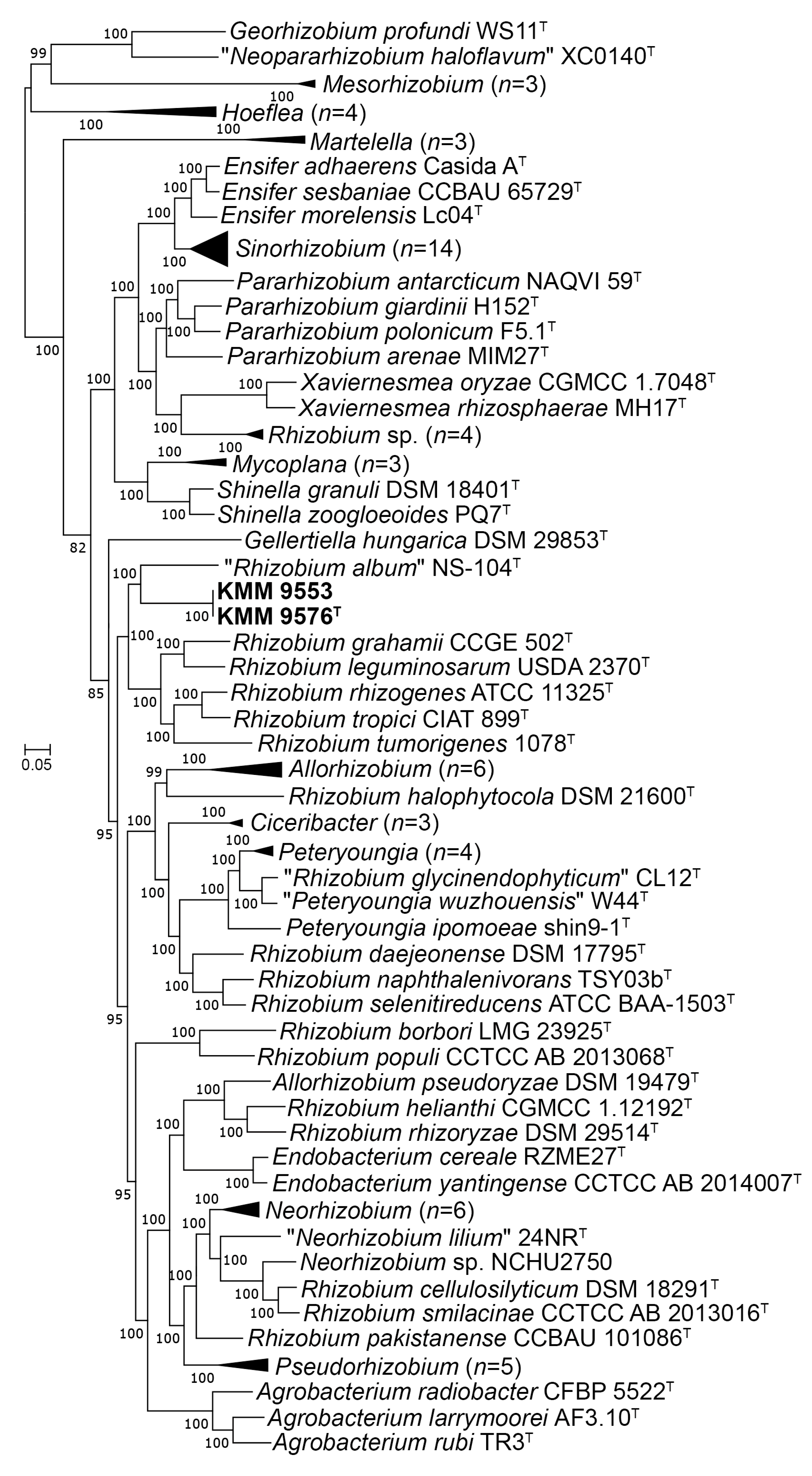 Microorganisms 11 02385 g003