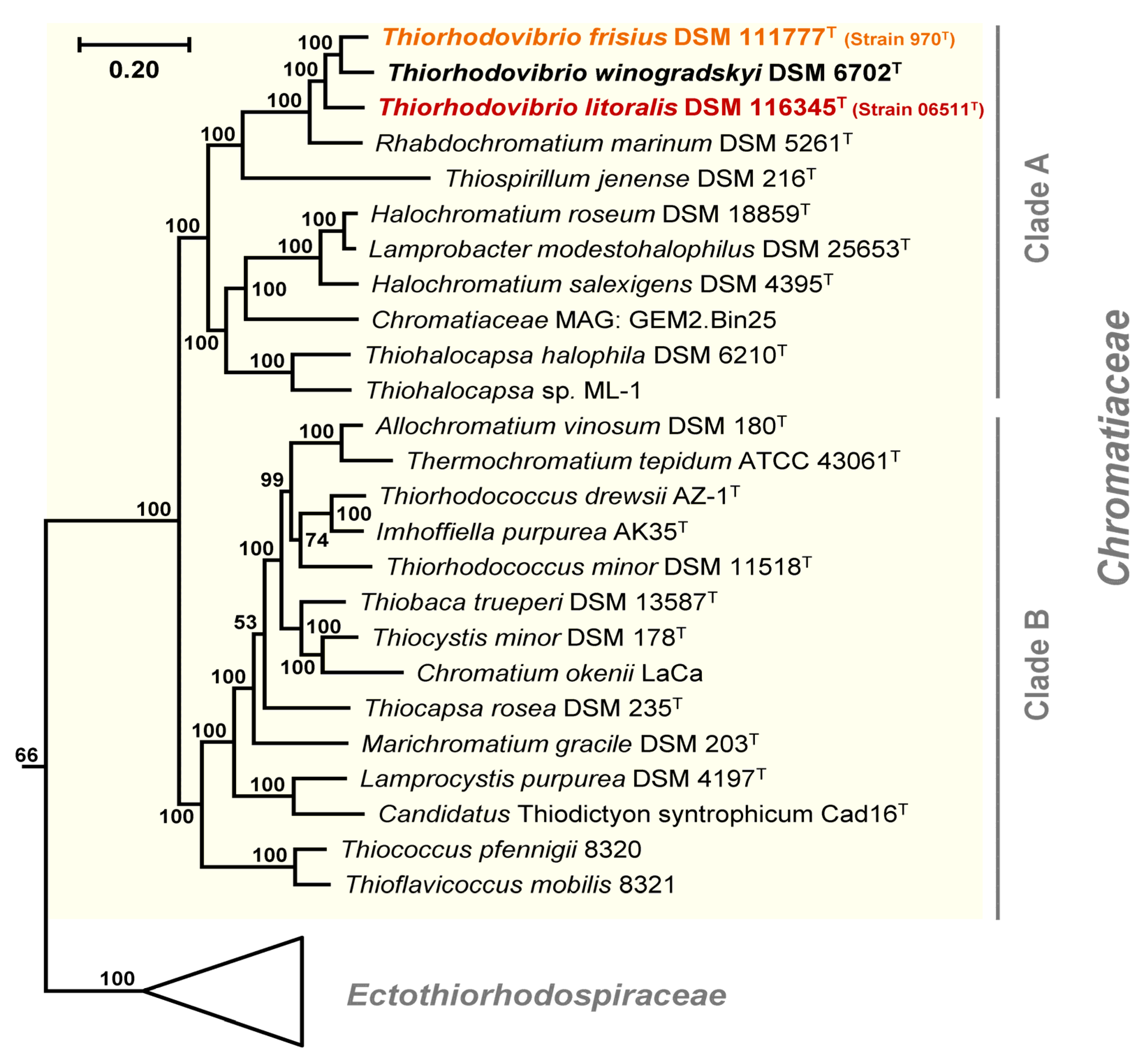 Microorganisms 11 02394 g002