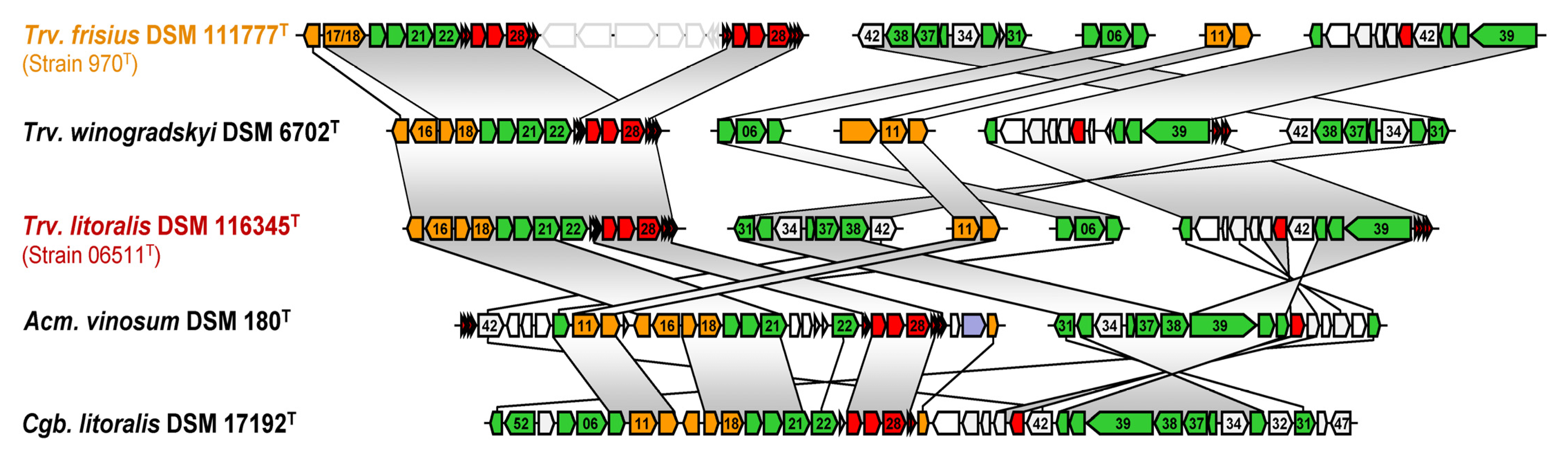 Microorganisms 11 02394 g004
