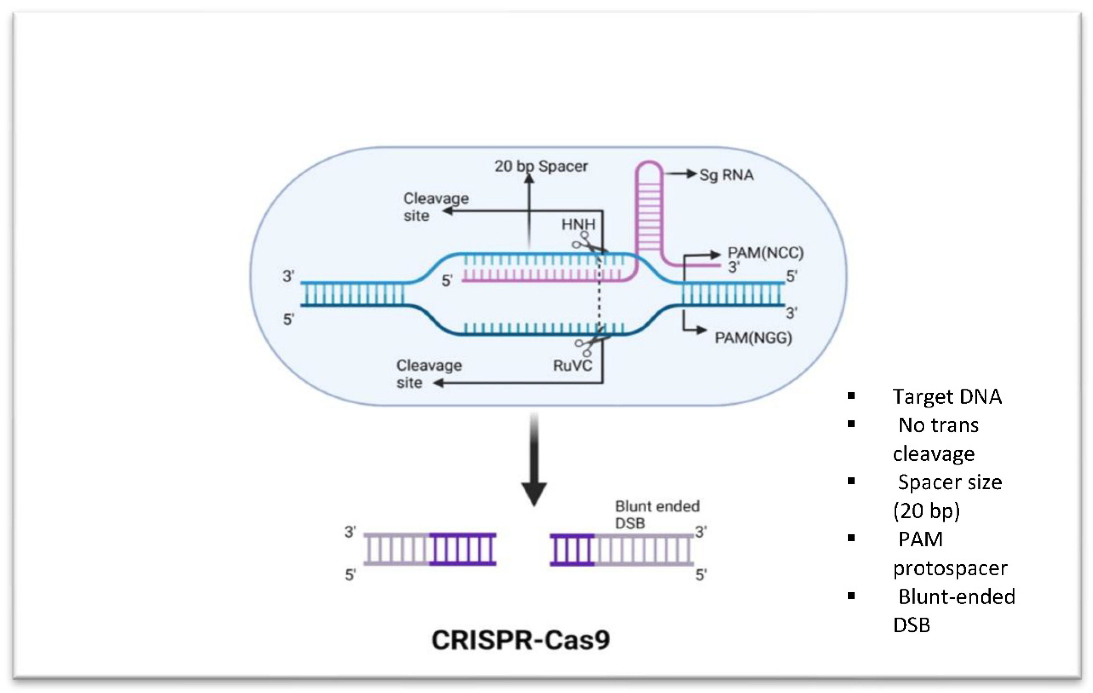 Microorganisms 11 02404 g001