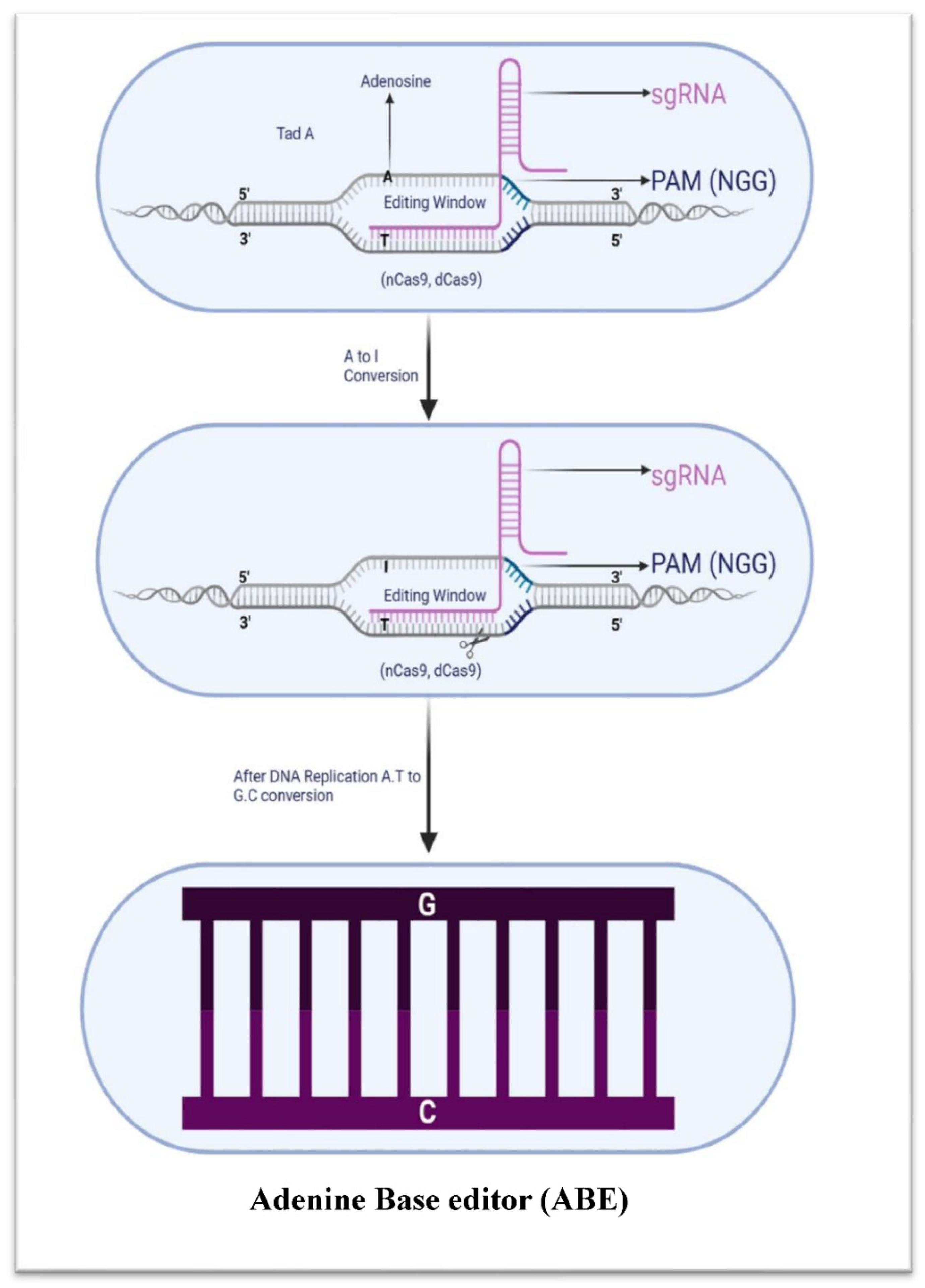 Microorganisms 11 02404 g005