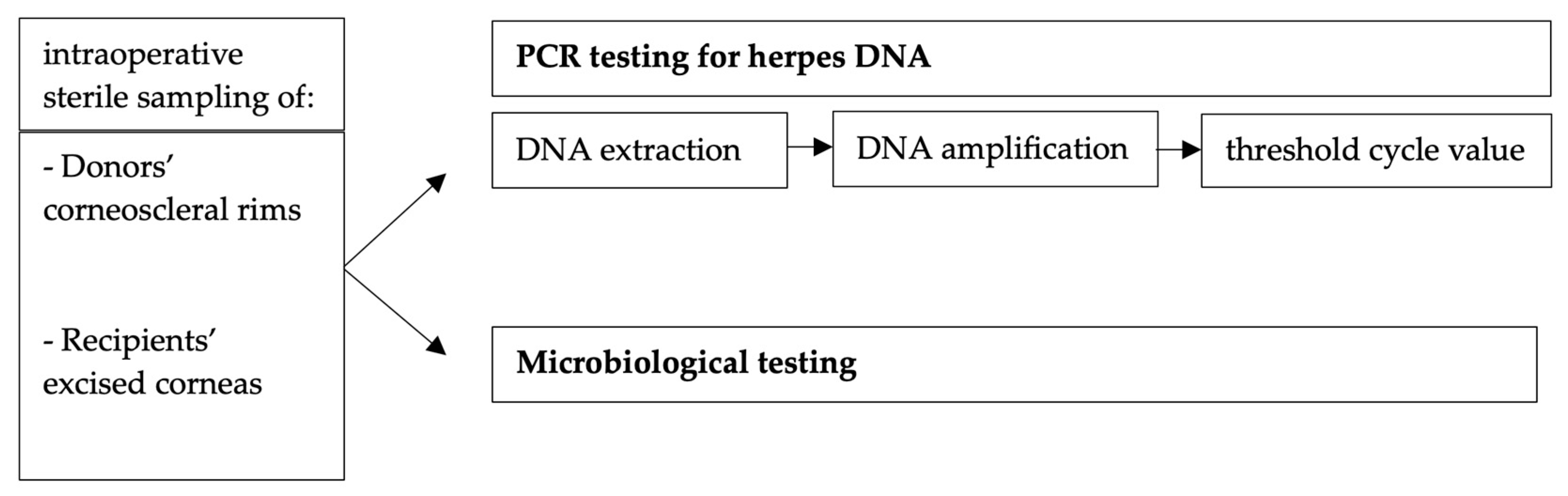 Microorganisms 11 02405 g001