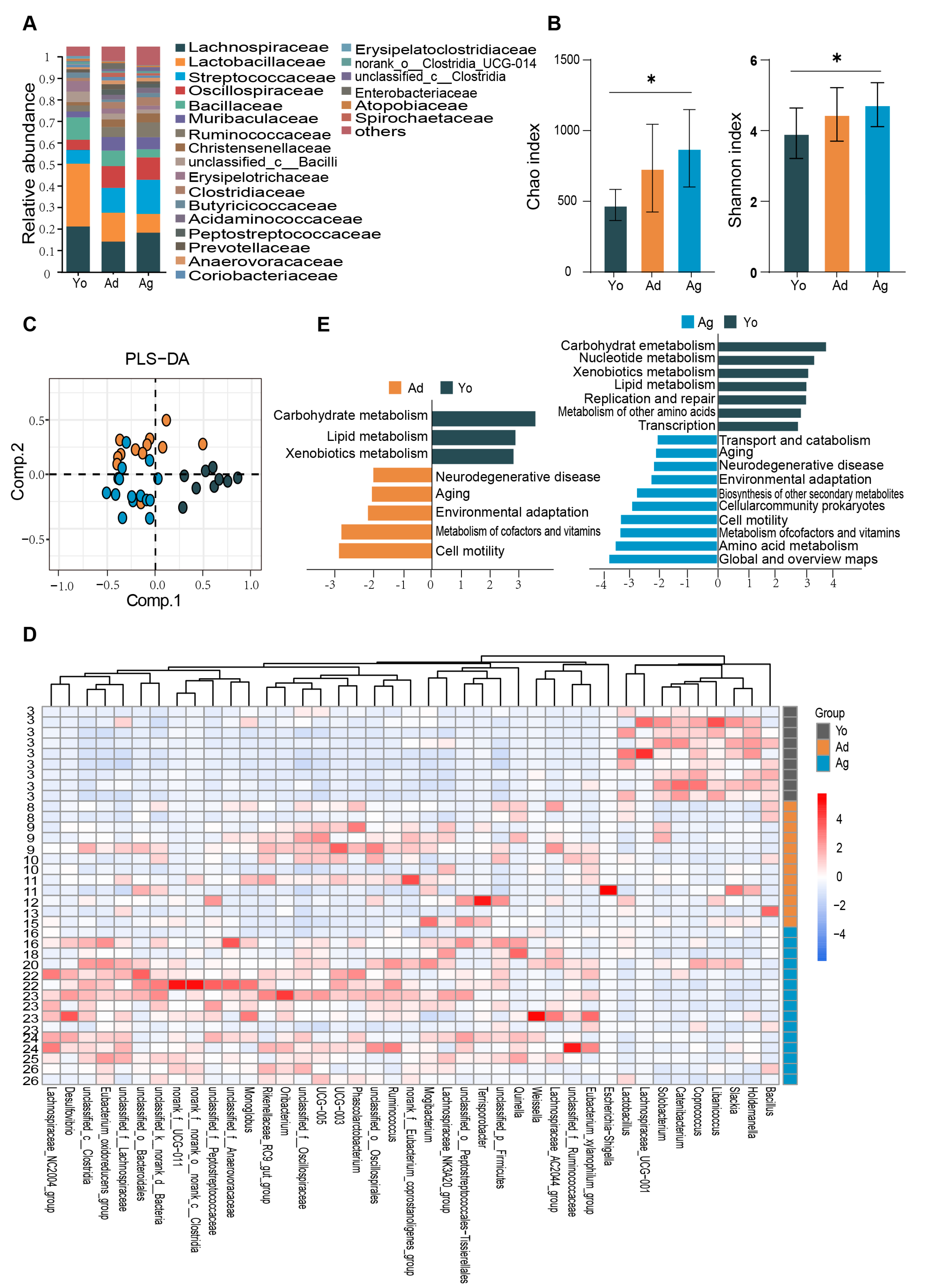 Microorganisms 11 02406 g001