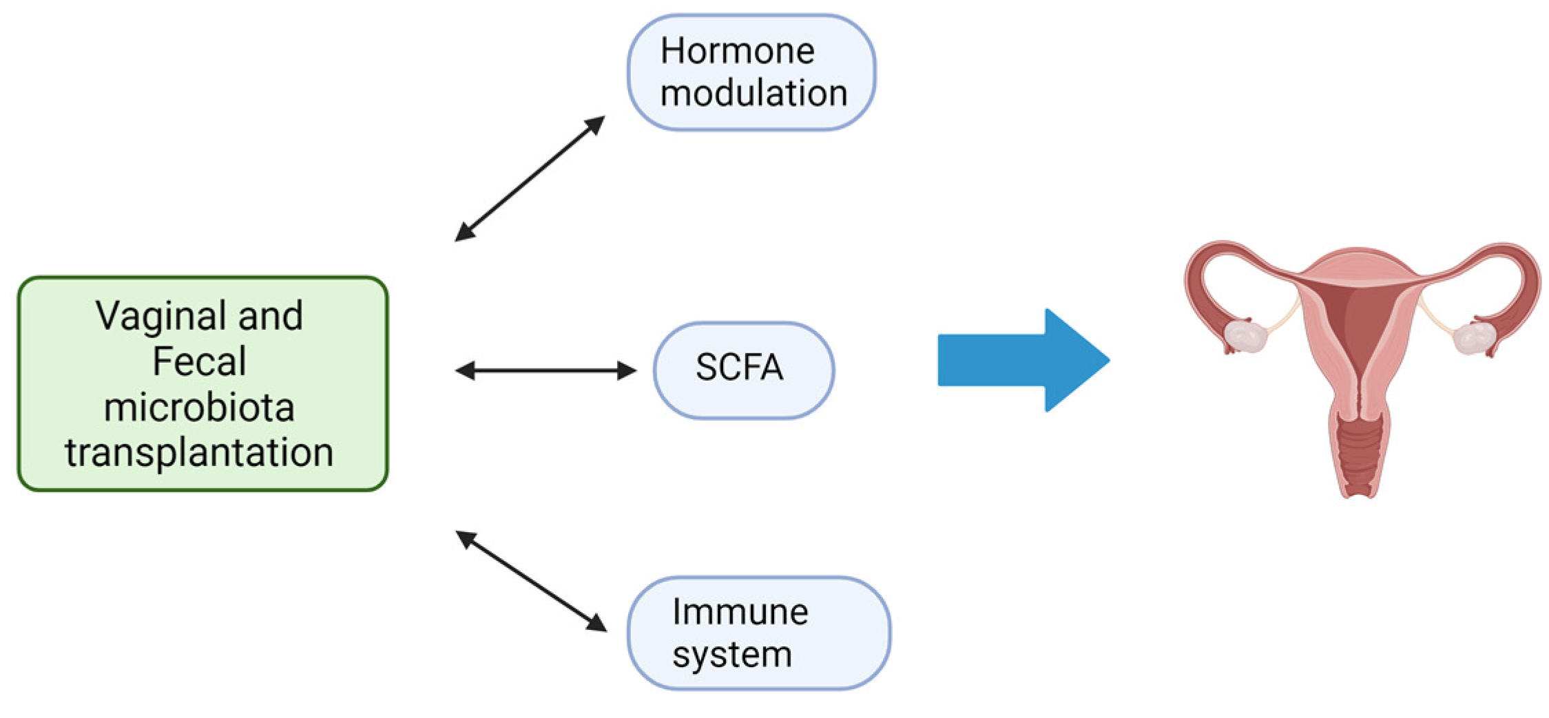 Microorganisms 11 02407 g003