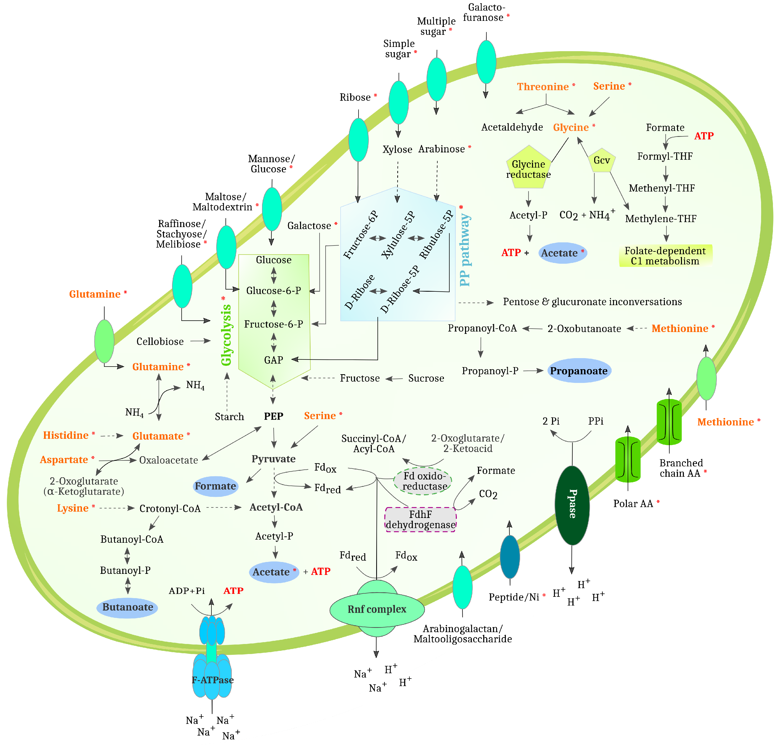 Microorganisms 11 02412 g009 Microorganisms 11 02412 g009