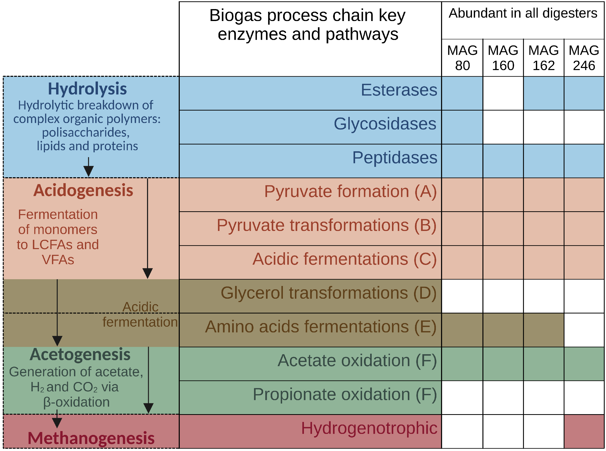 Microorganisms 11 02412 g010 Microorganisms 11 02412 g010
