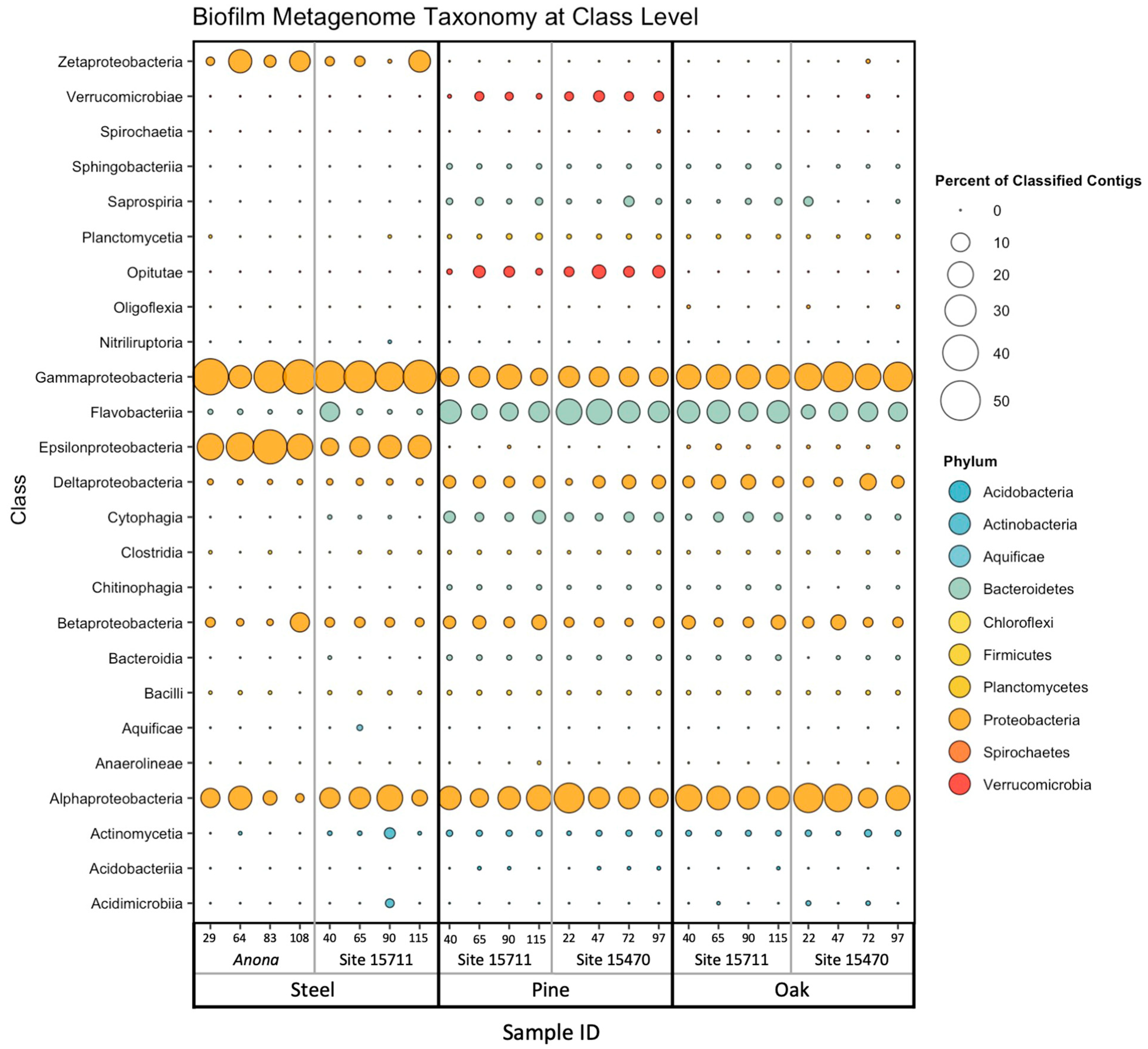 Microorganisms 11 02416 g001