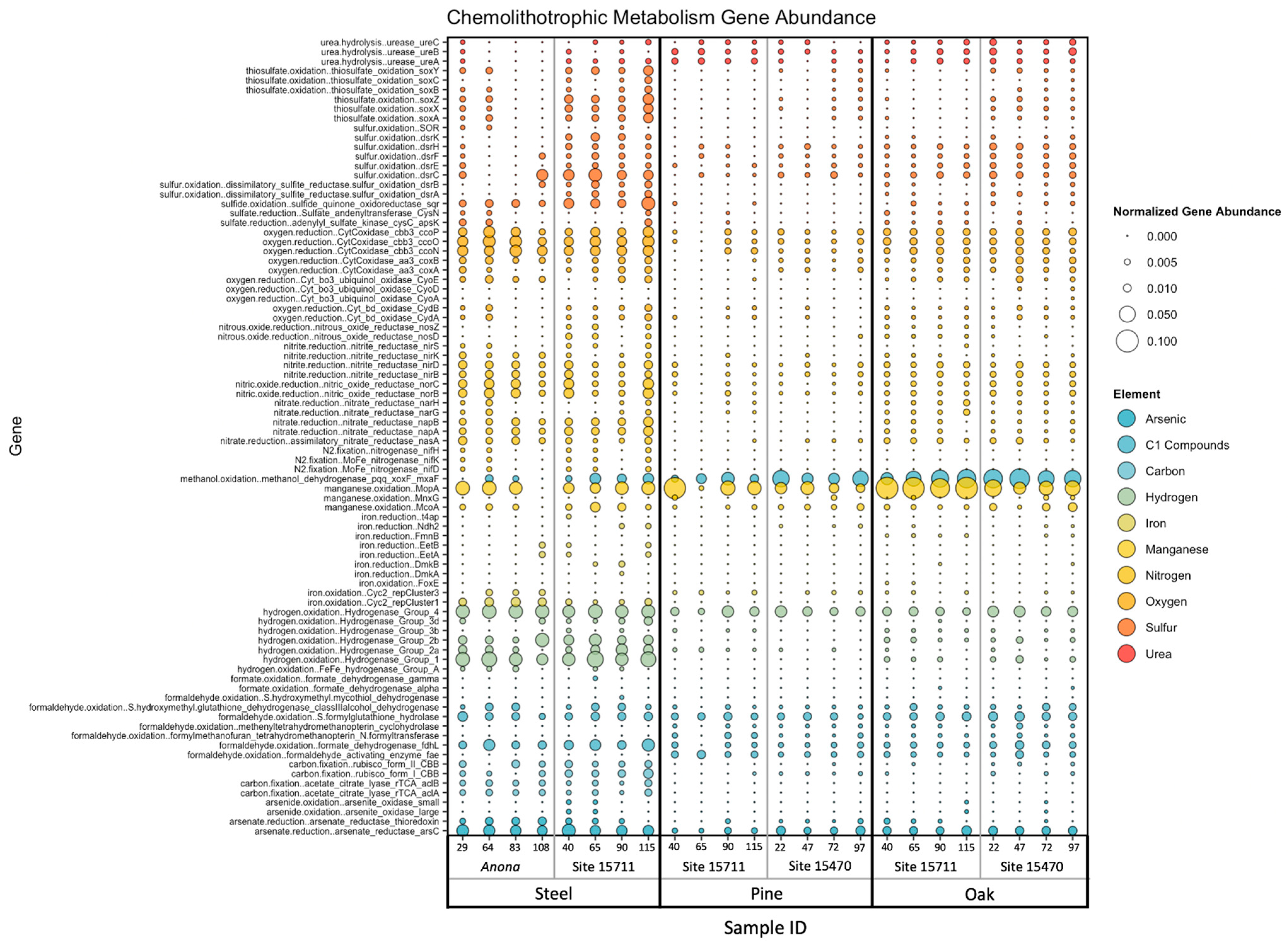 Microorganisms 11 02416 g005
