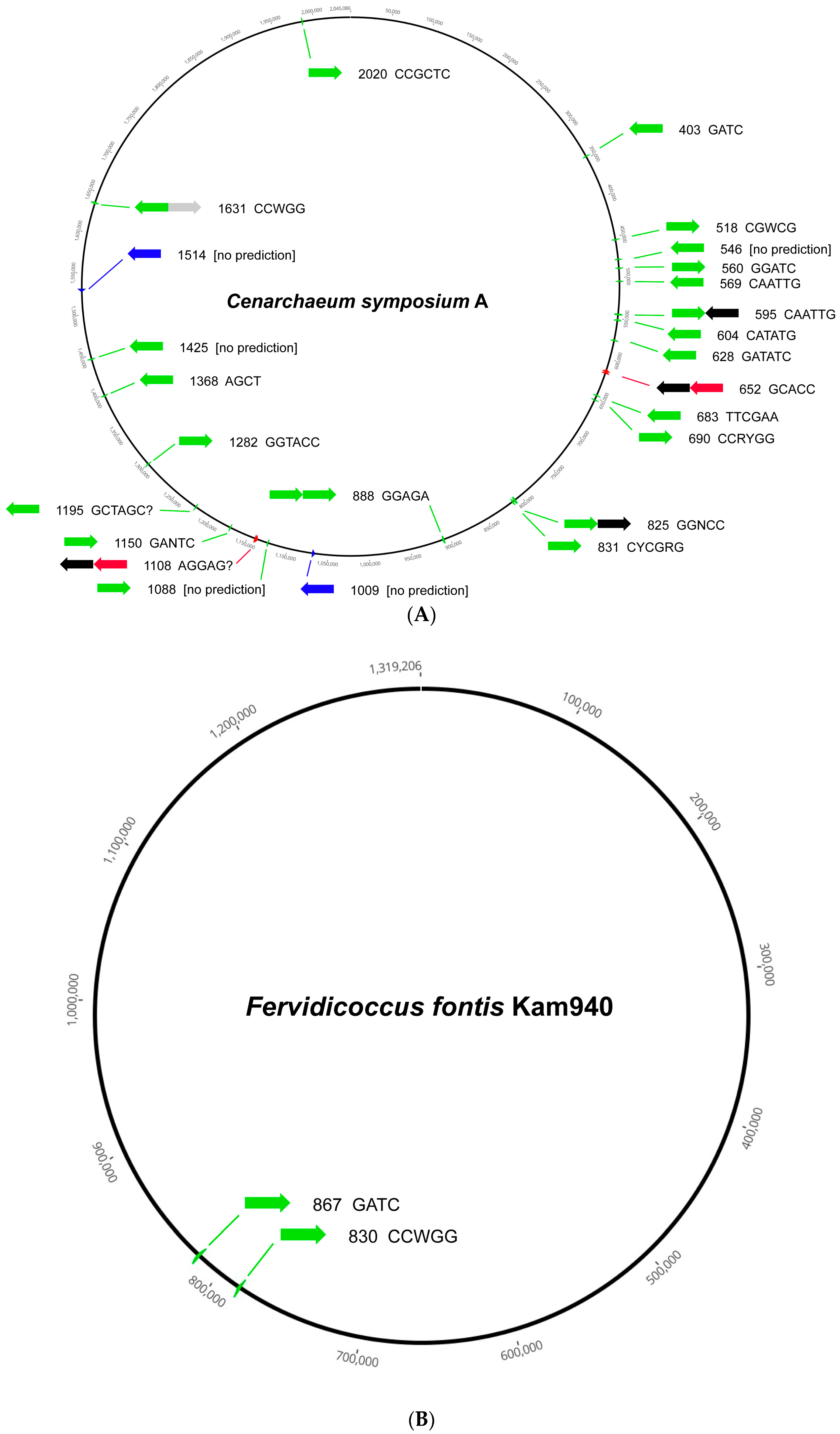Microorganisms 11 02424 g001