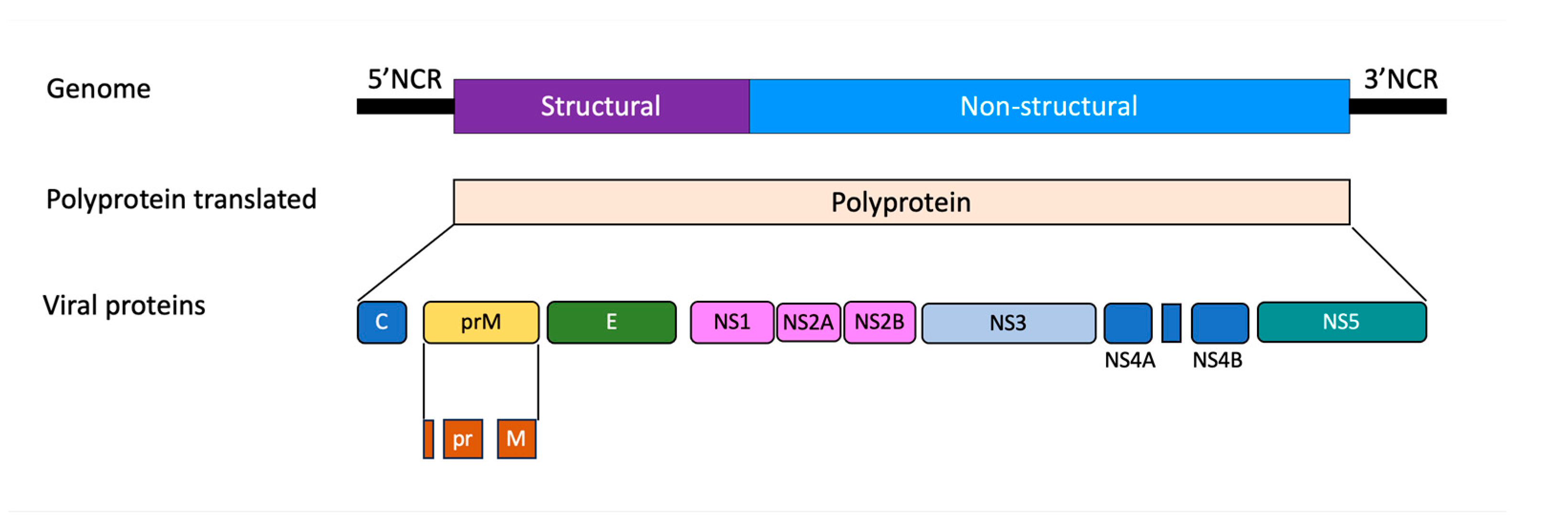 Microorganisms 11 02427 g001