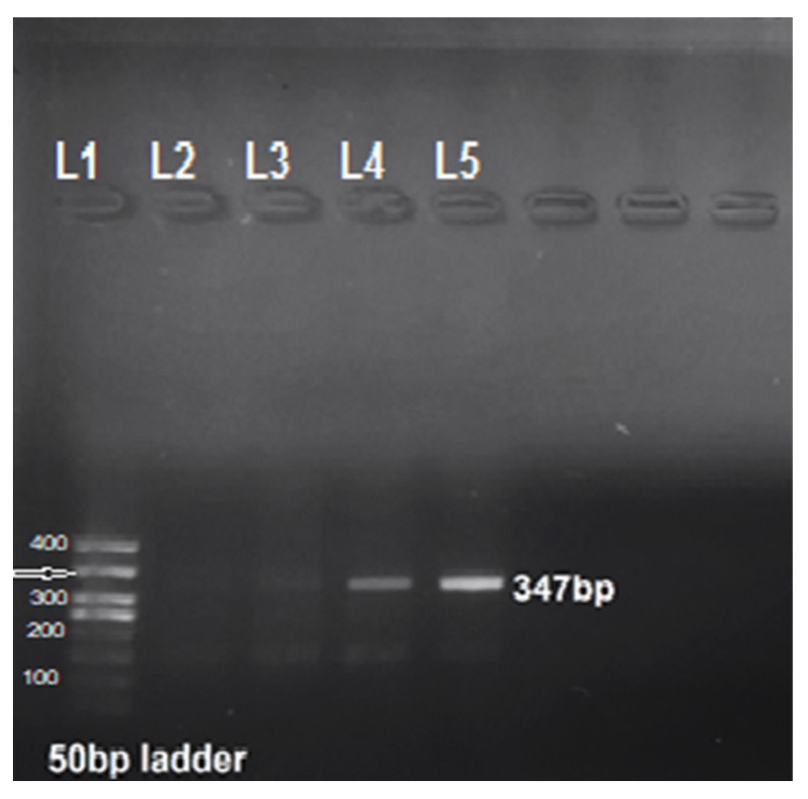 Microorganisms 11 02430 g002