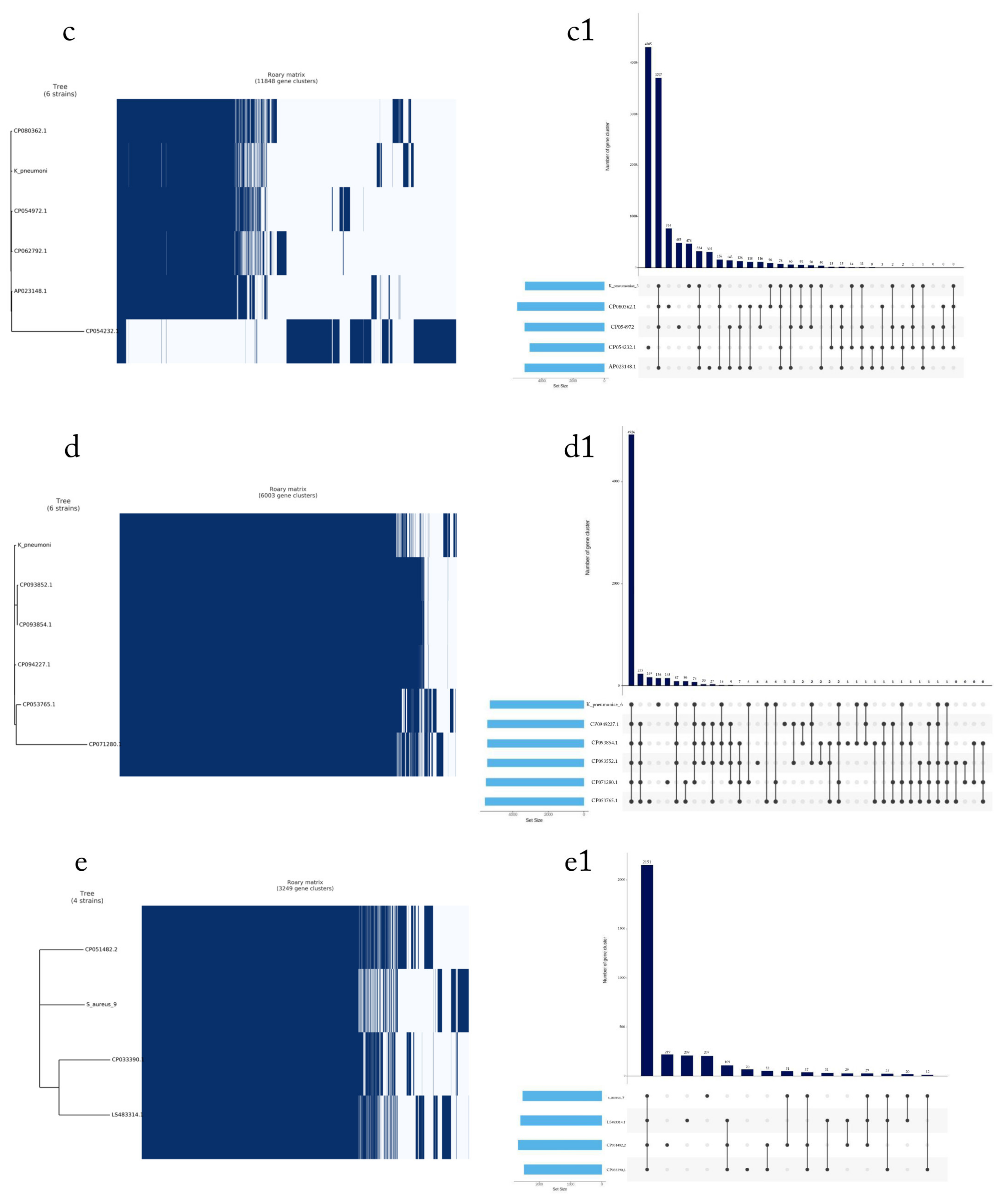Microorganisms 11 02432 g004b