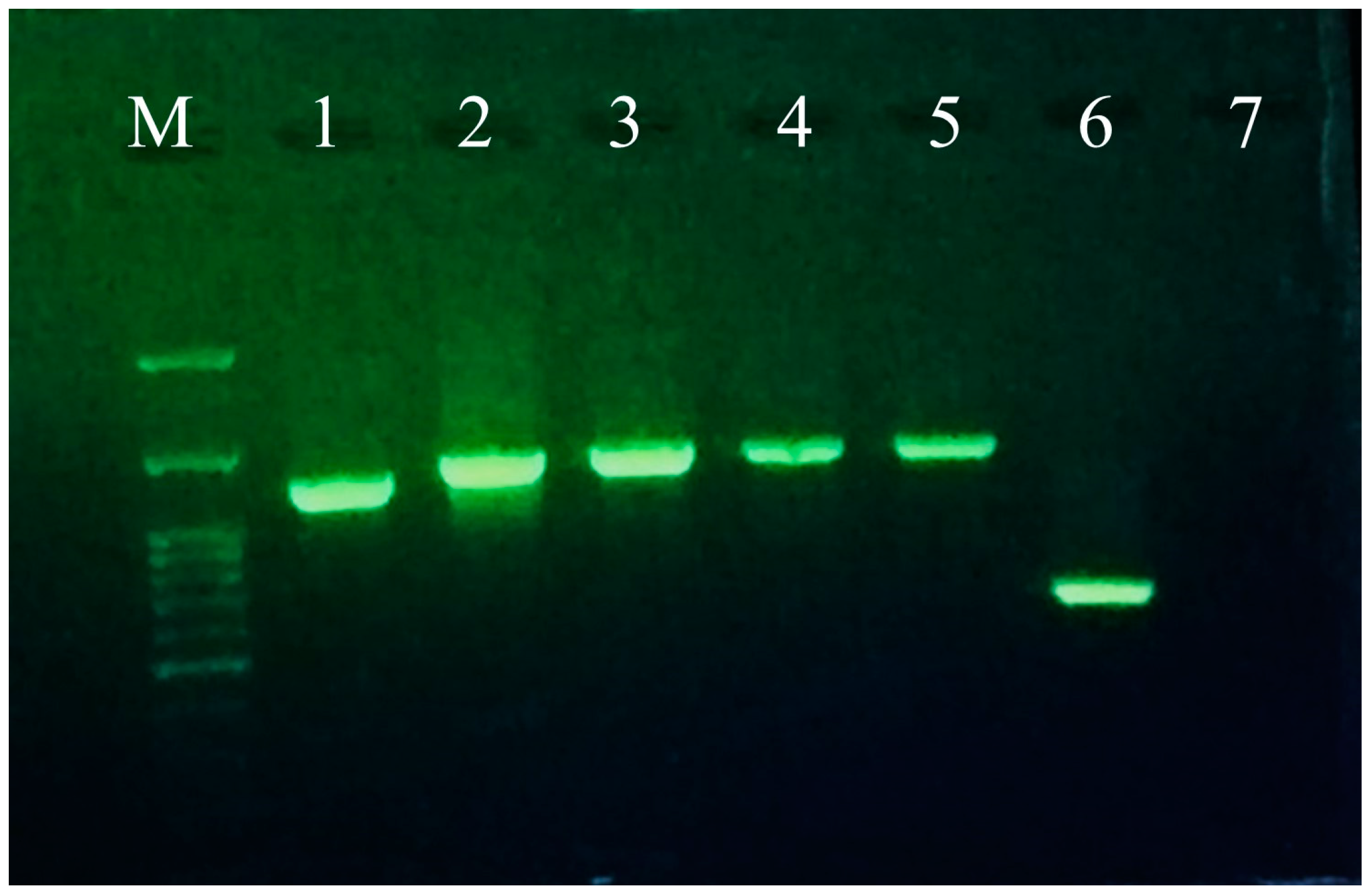 Microorganisms 11 02434 g002