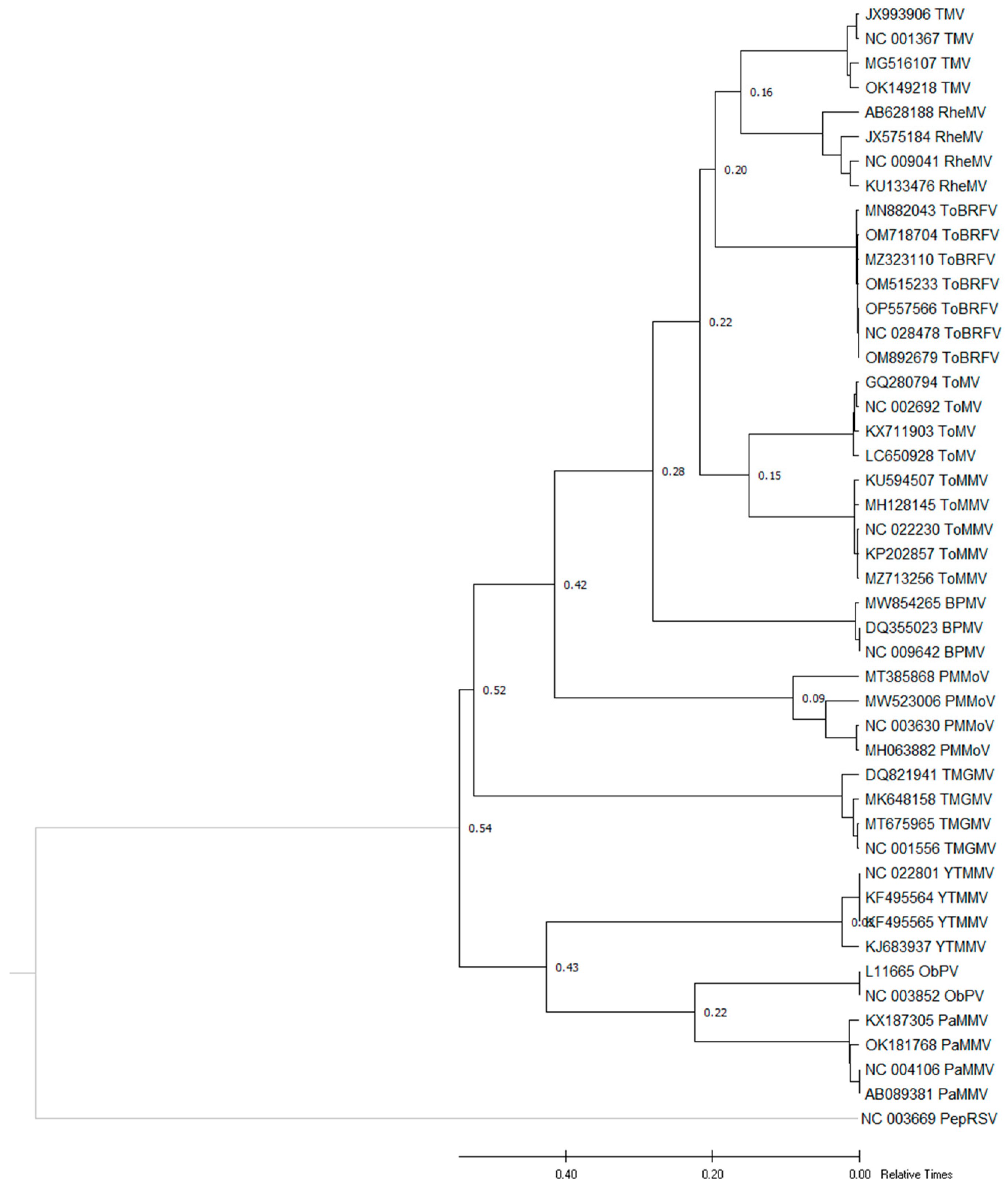 Microorganisms 11 02434 g007