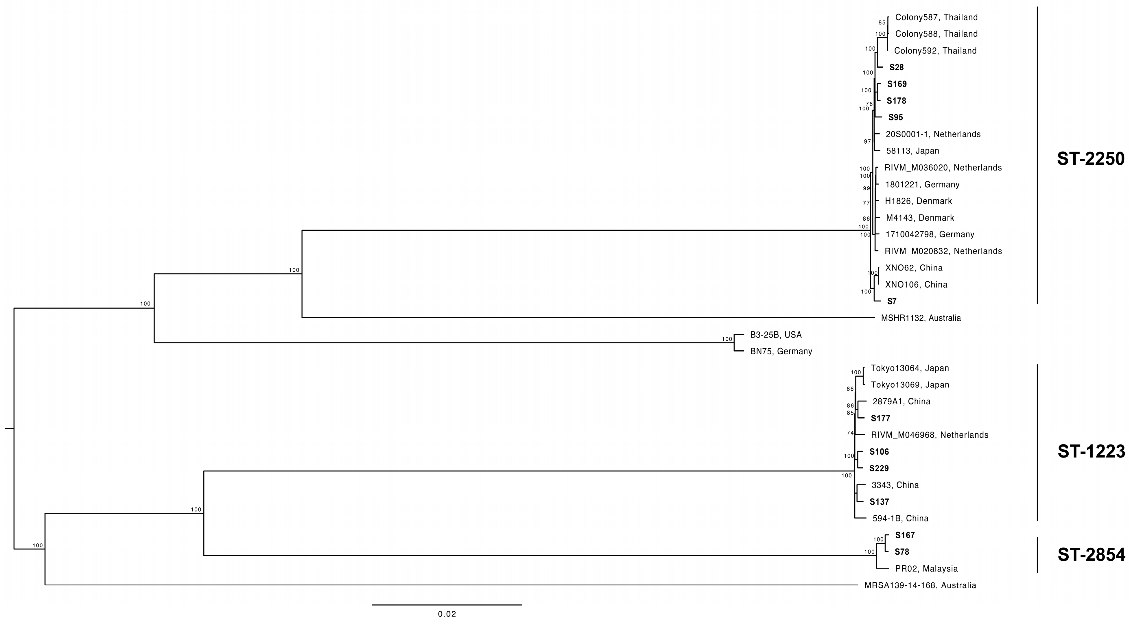 Microorganisms 11 02435 g001