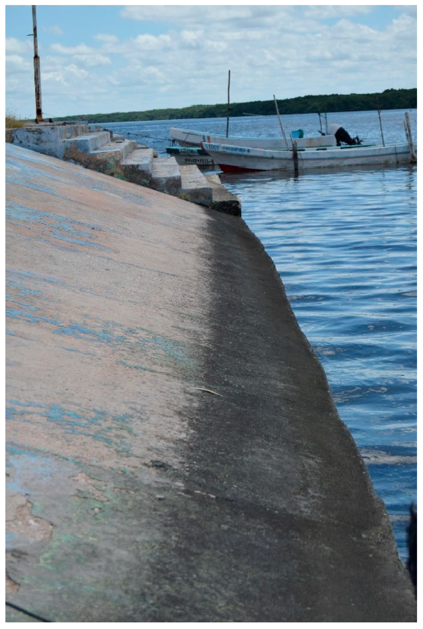 Microorganisms 11 02438 g003