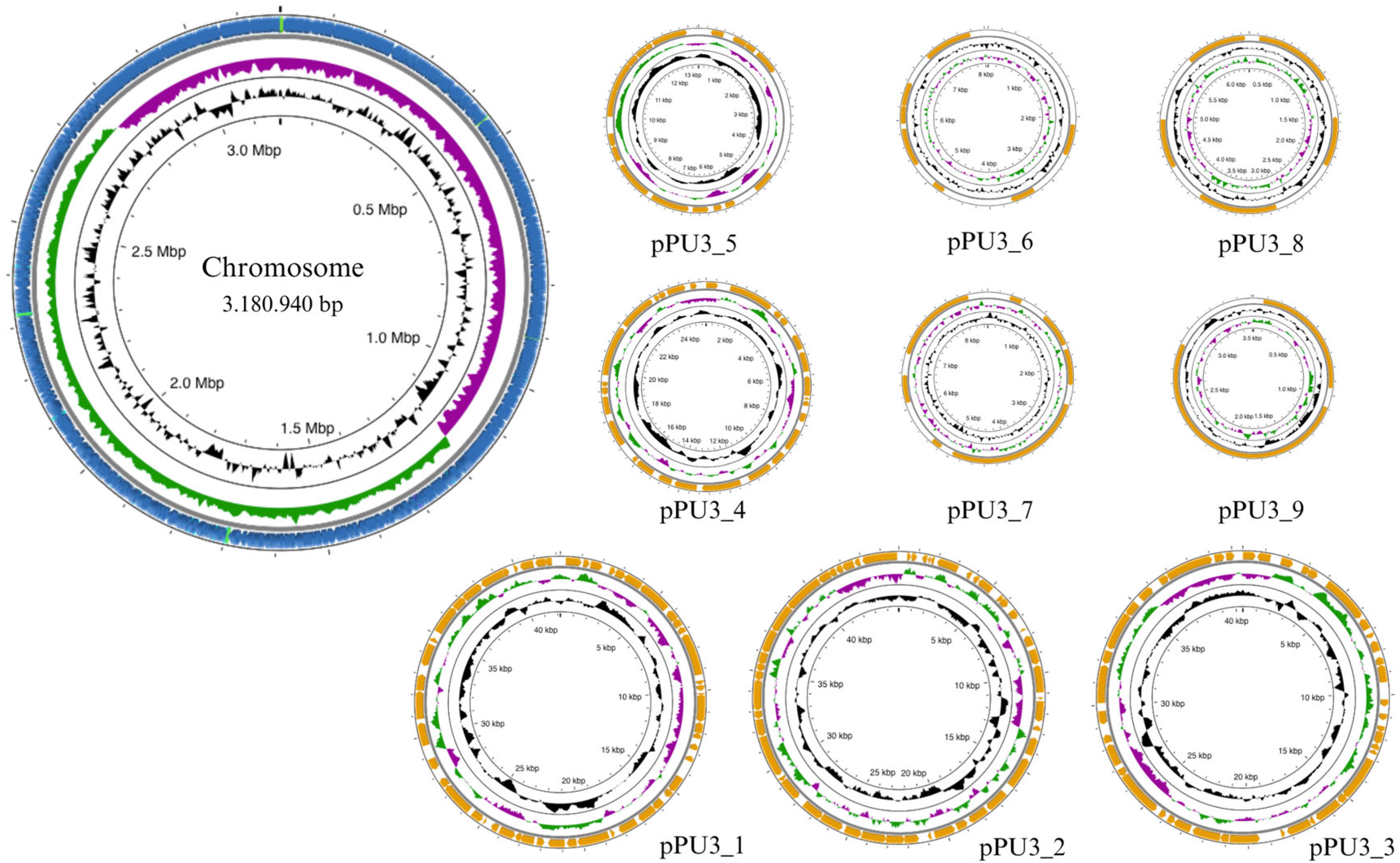Microorganisms 11 02440 g001