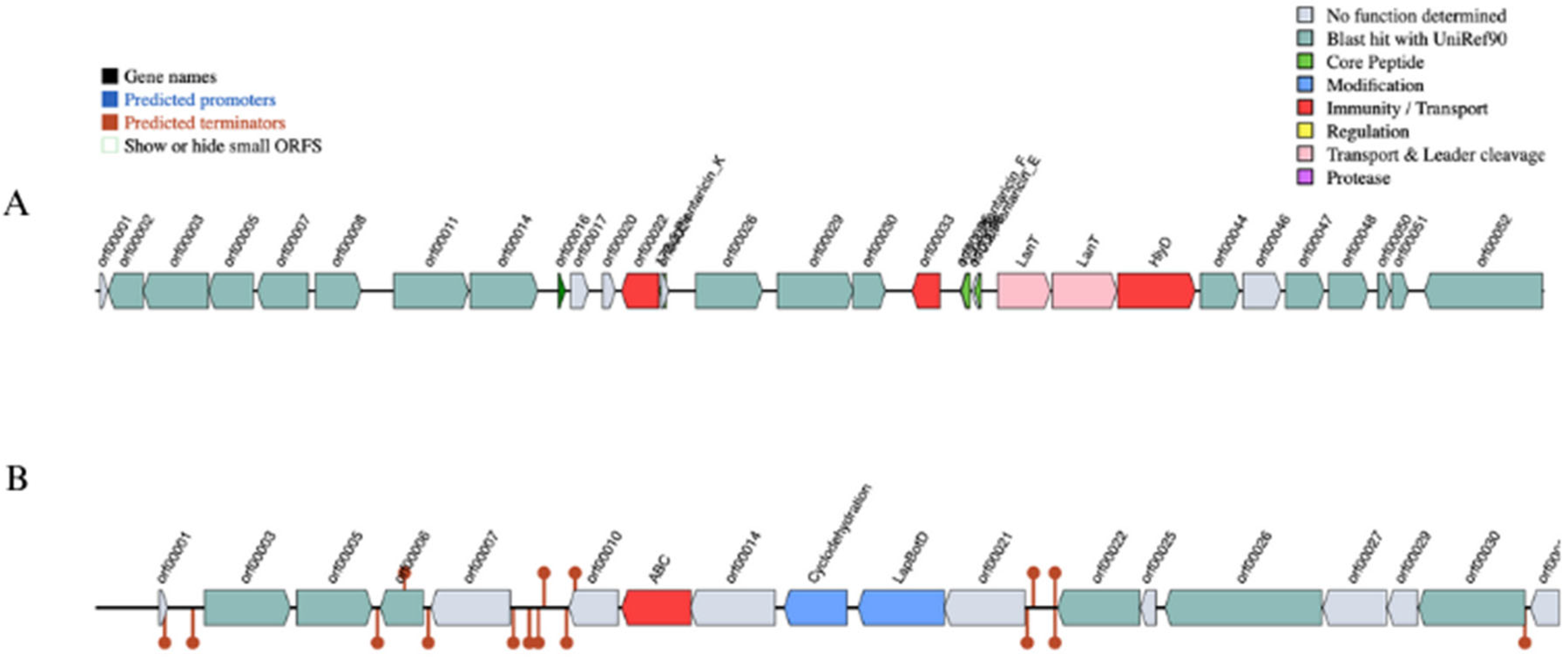 Microorganisms 11 02440 g004