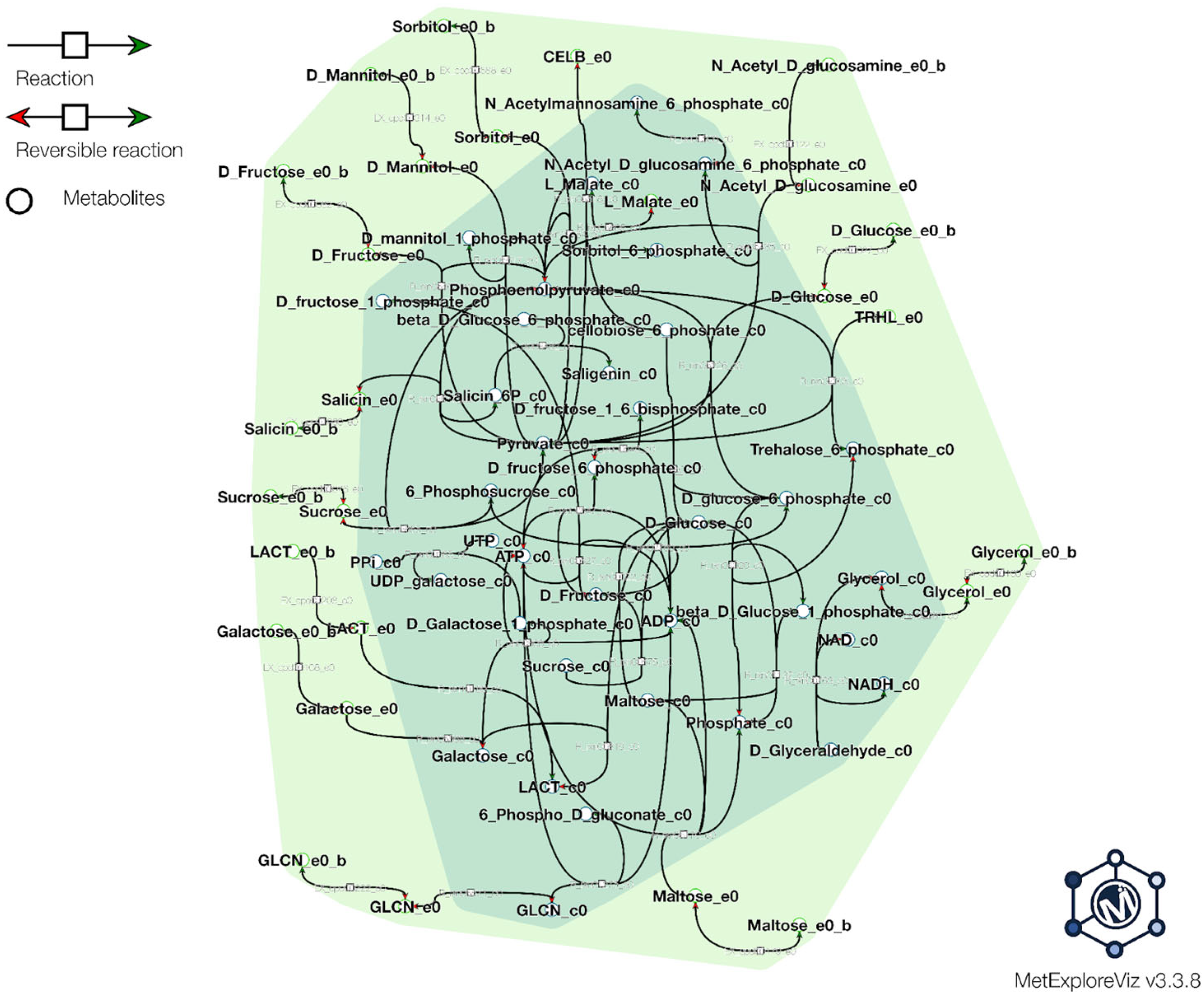 Microorganisms 11 02440 g006