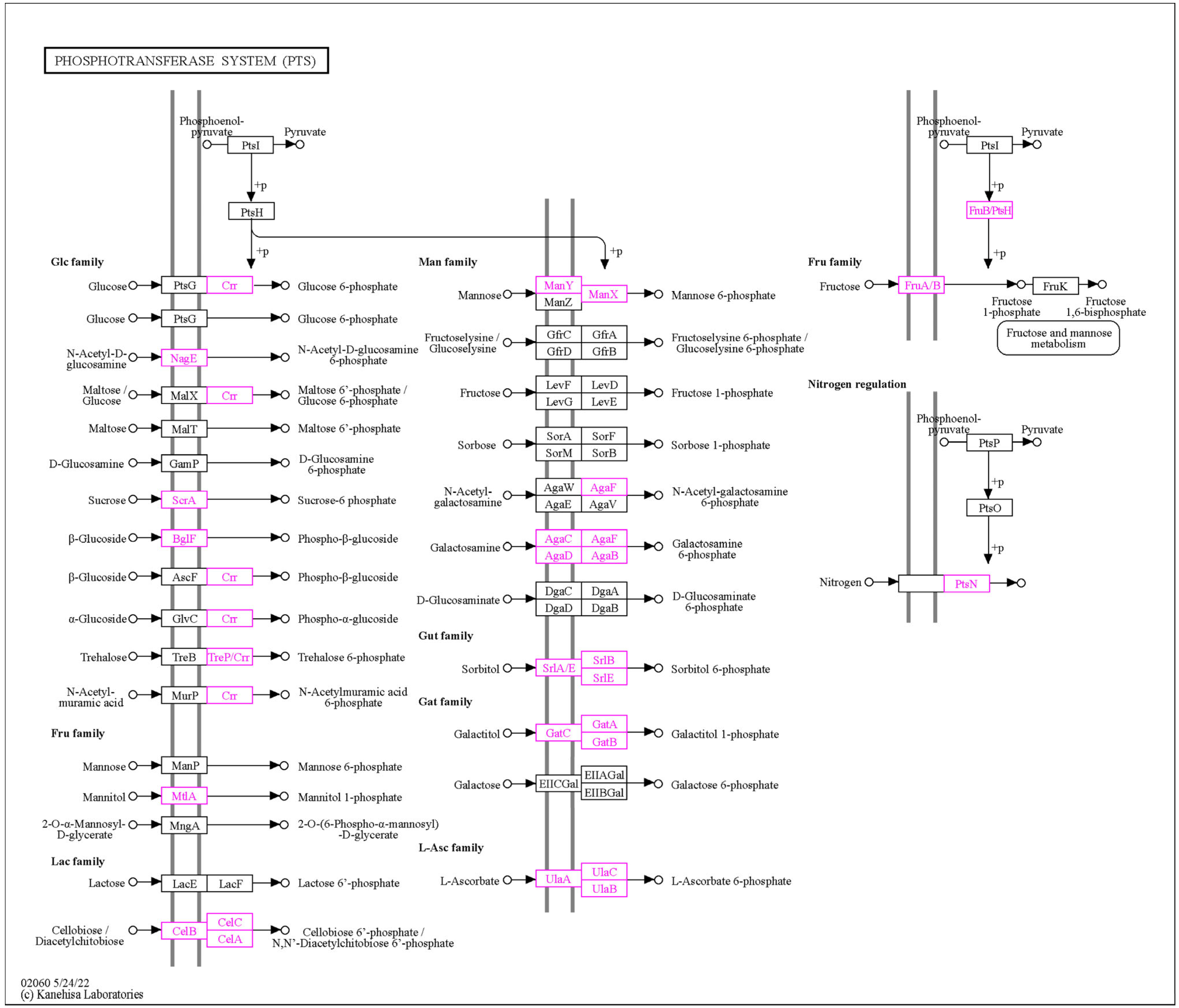 Microorganisms 11 02440 g007