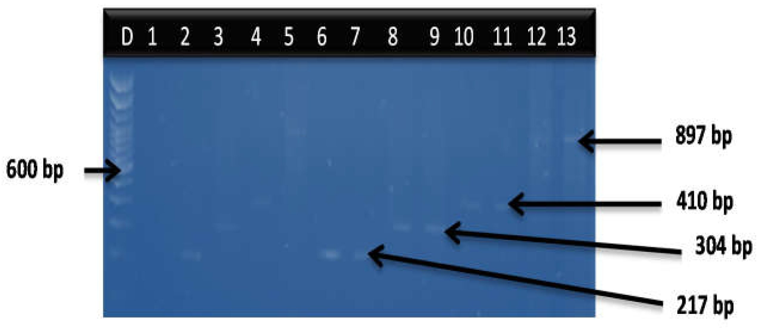 Microorganisms 11 02449 g002 Microorganisms 11 02449 g002