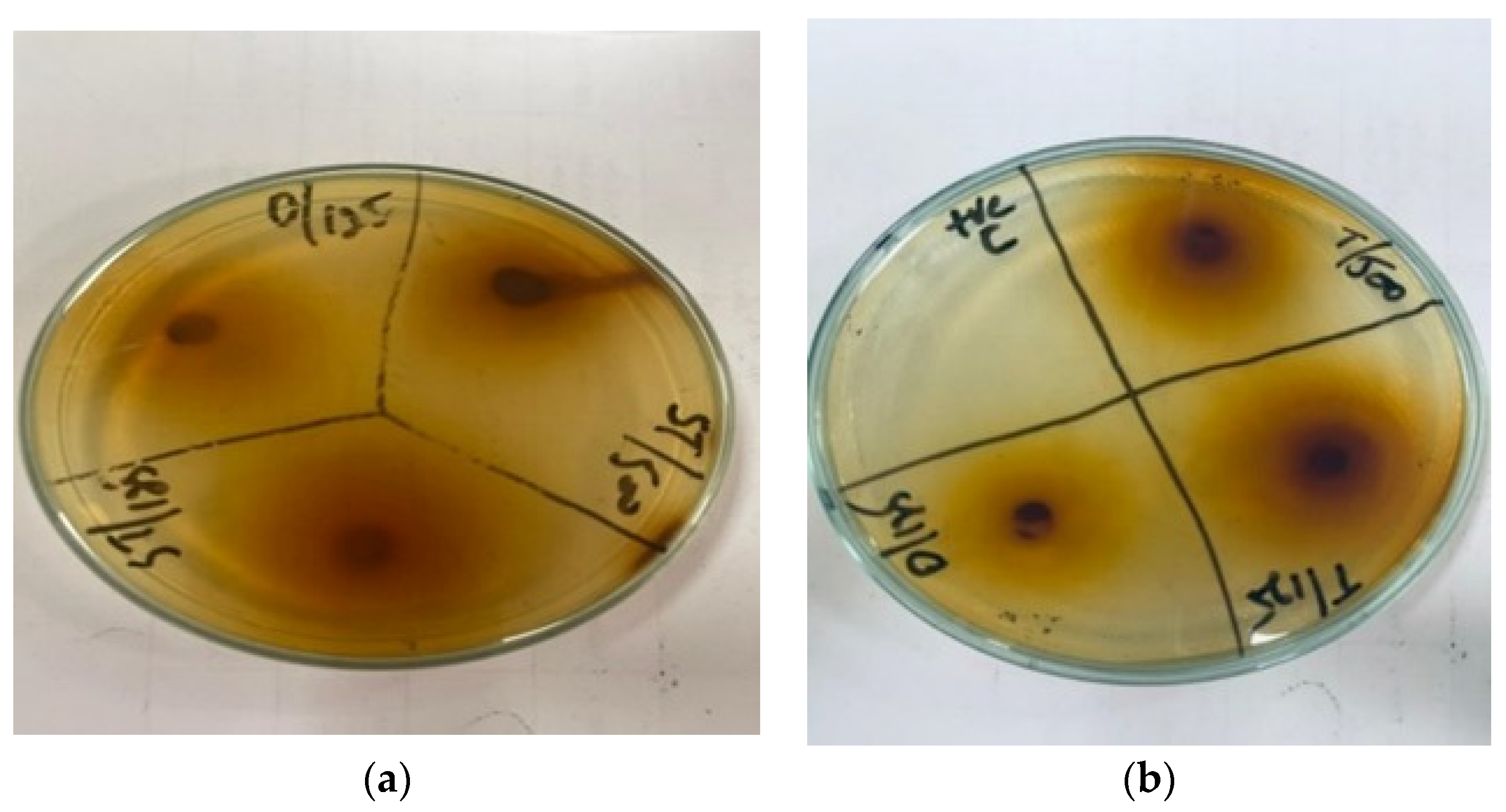 Microorganisms 11 02450 g002
