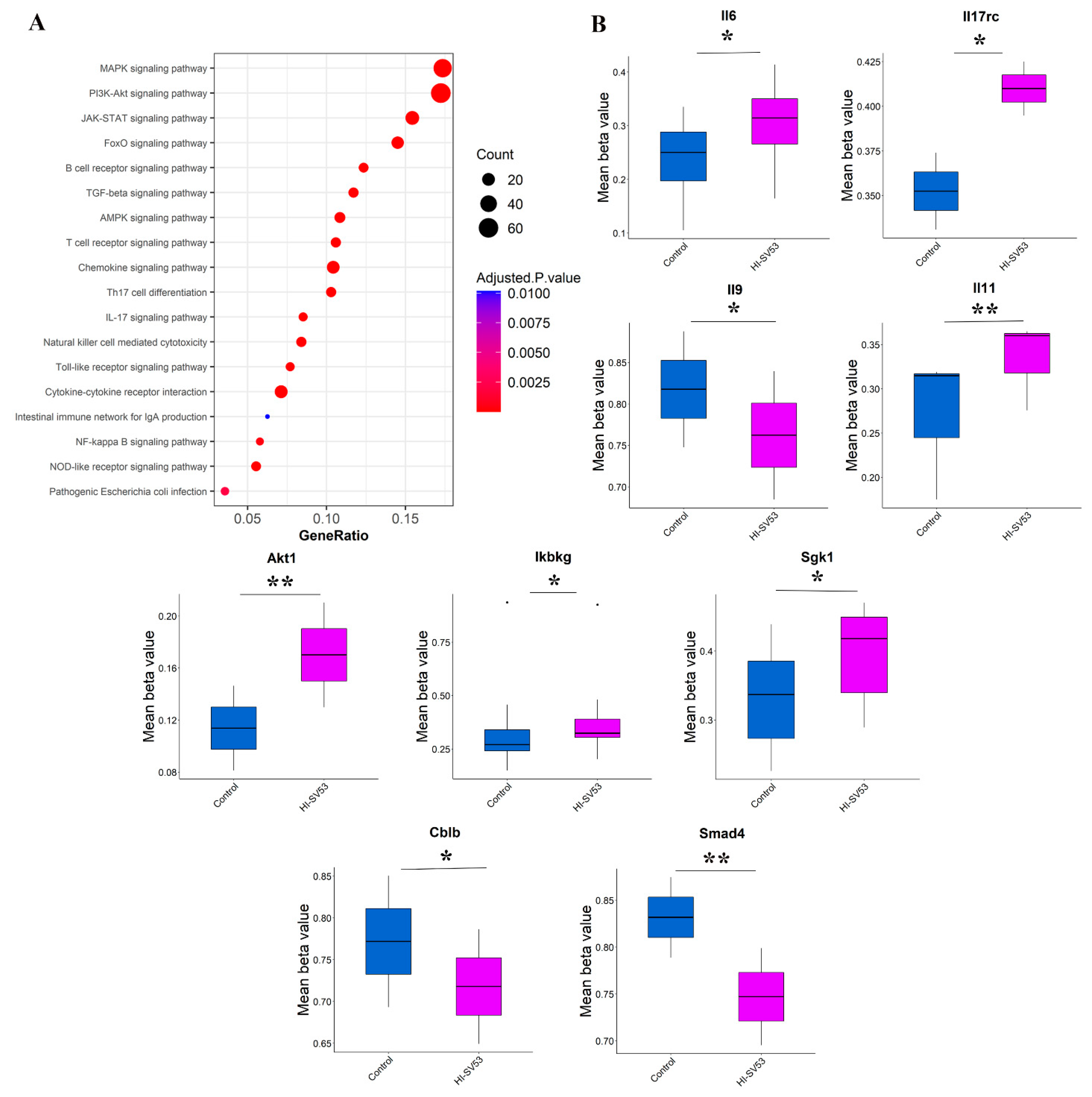 Microorganisms 11 02456 g006