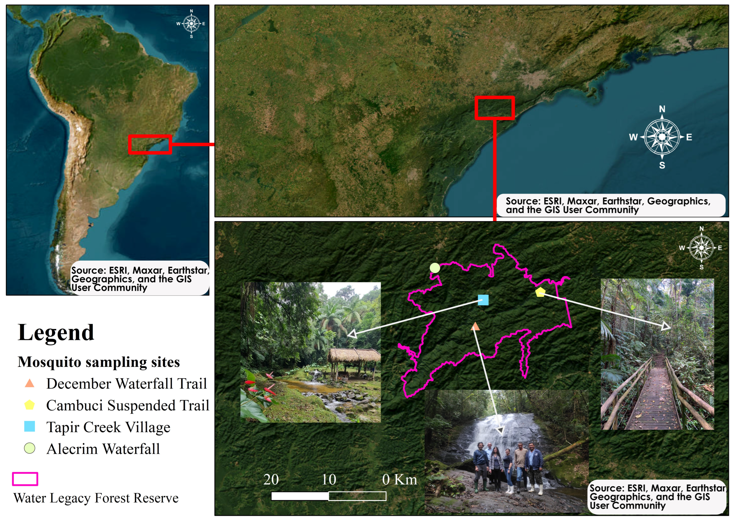 Microorganisms 11 02465 g001 Microorganisms 11 02465 g001