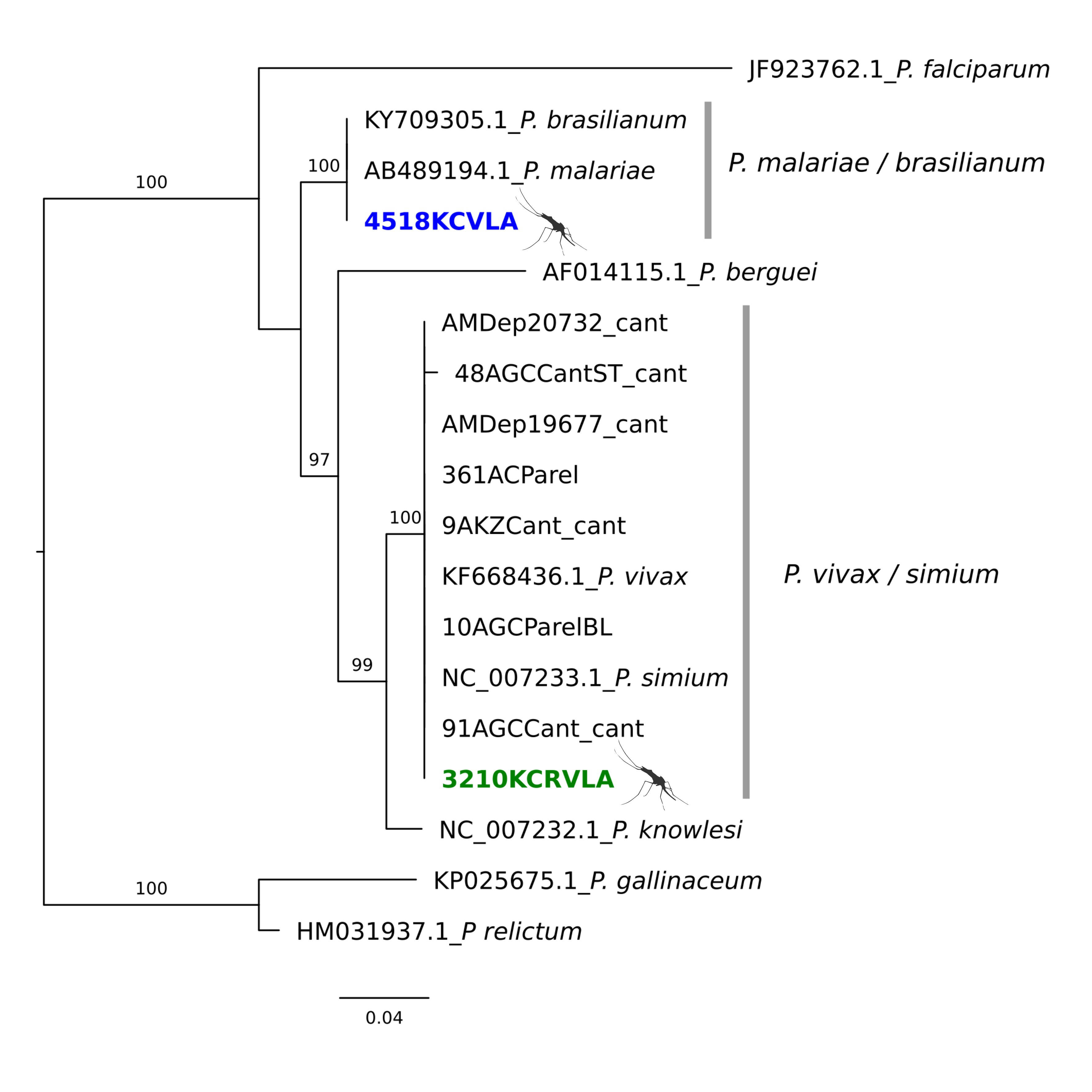 Microorganisms 11 02465 g002 Microorganisms 11 02465 g002