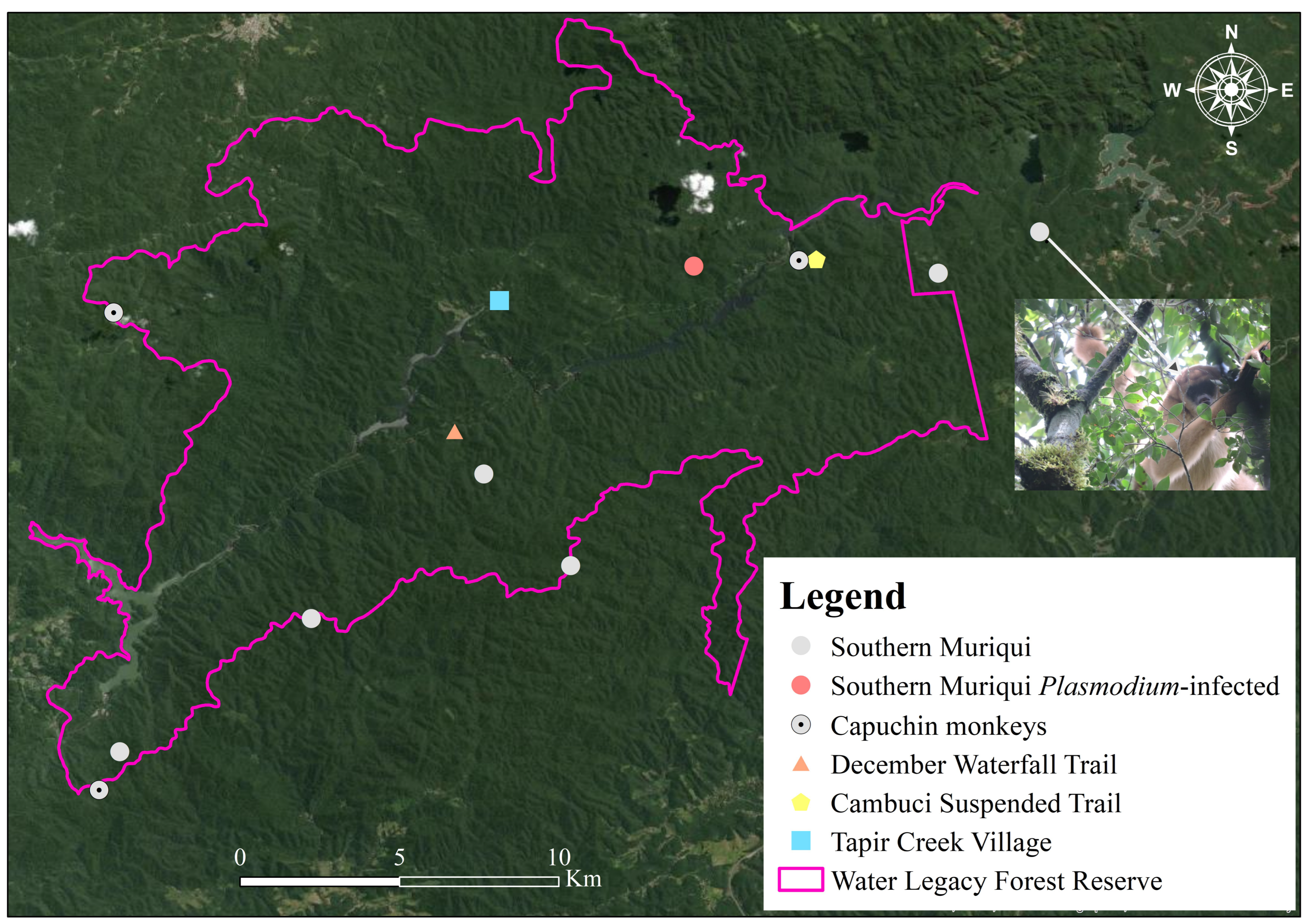 Microorganisms 11 02465 g003 Microorganisms 11 02465 g003