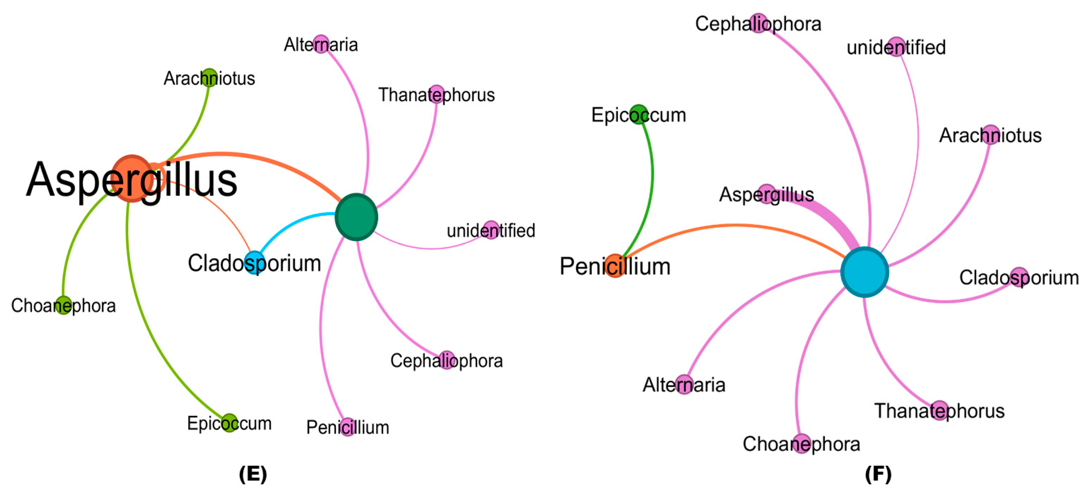 Microorganisms 11 02467 g007b Microorganisms 11 02467 g007b